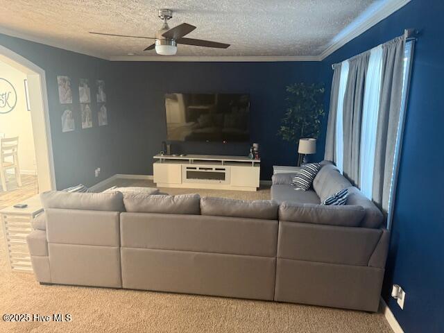 100542049 | Photo 18