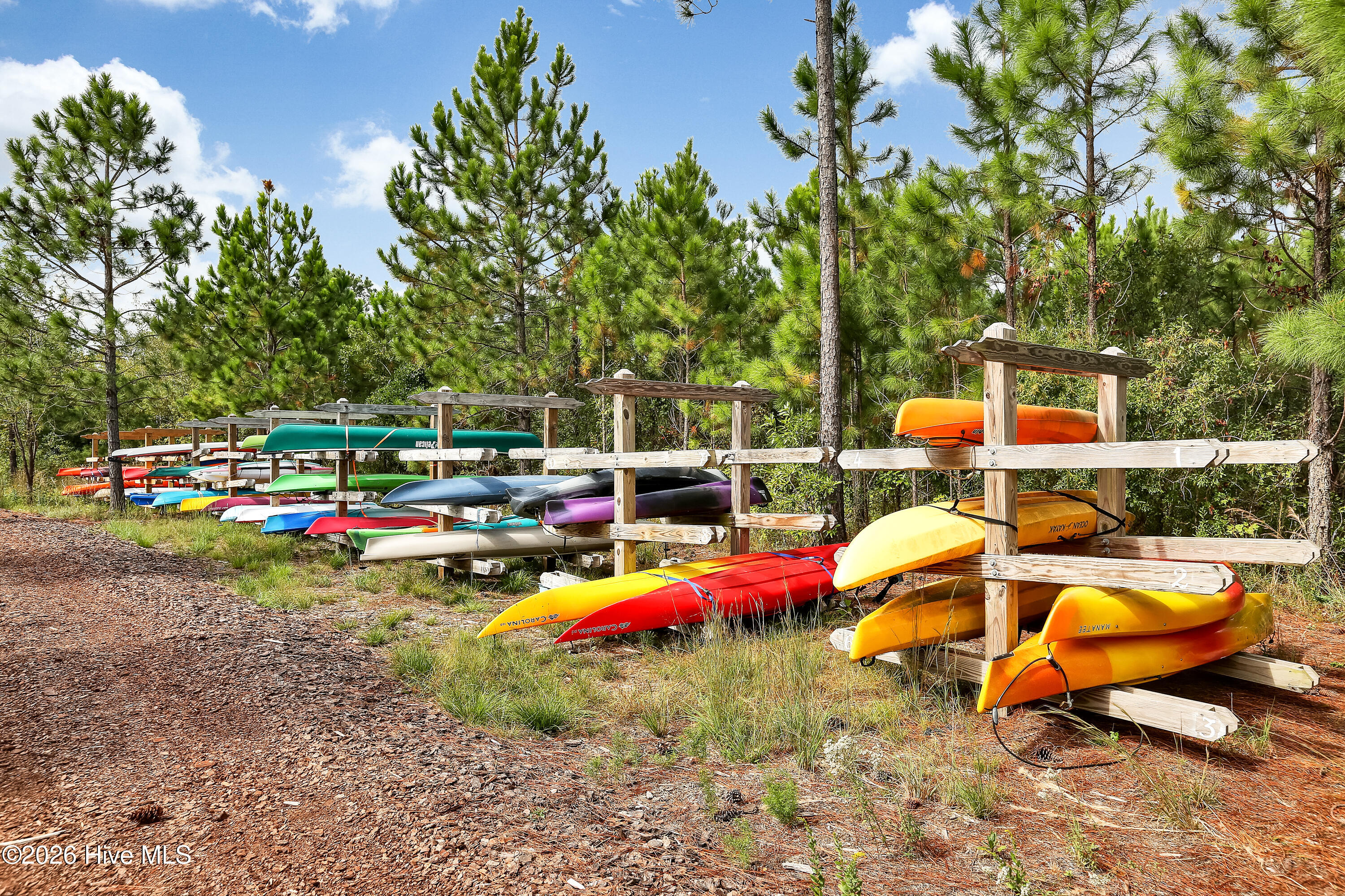 100556989 | Photo 75