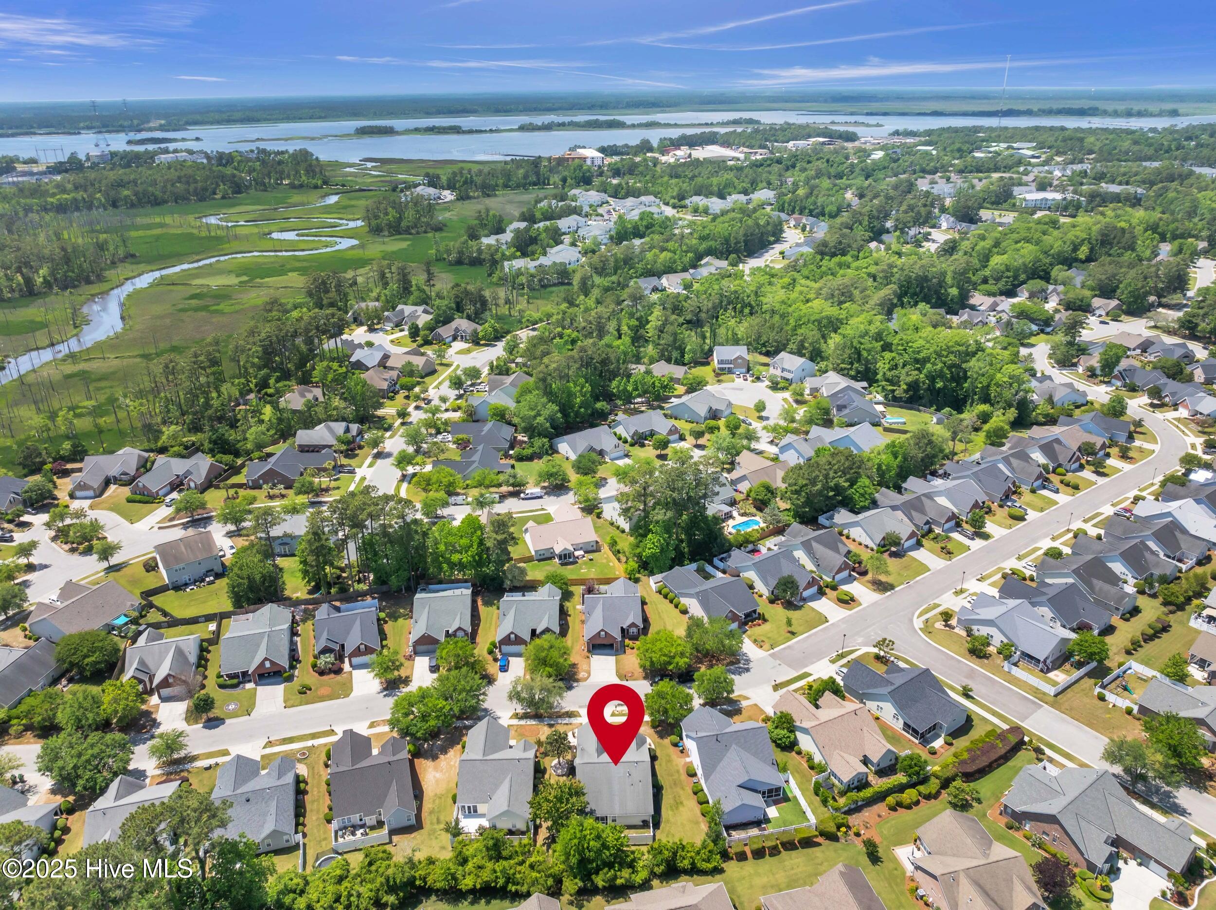 100540826 | Photo 30