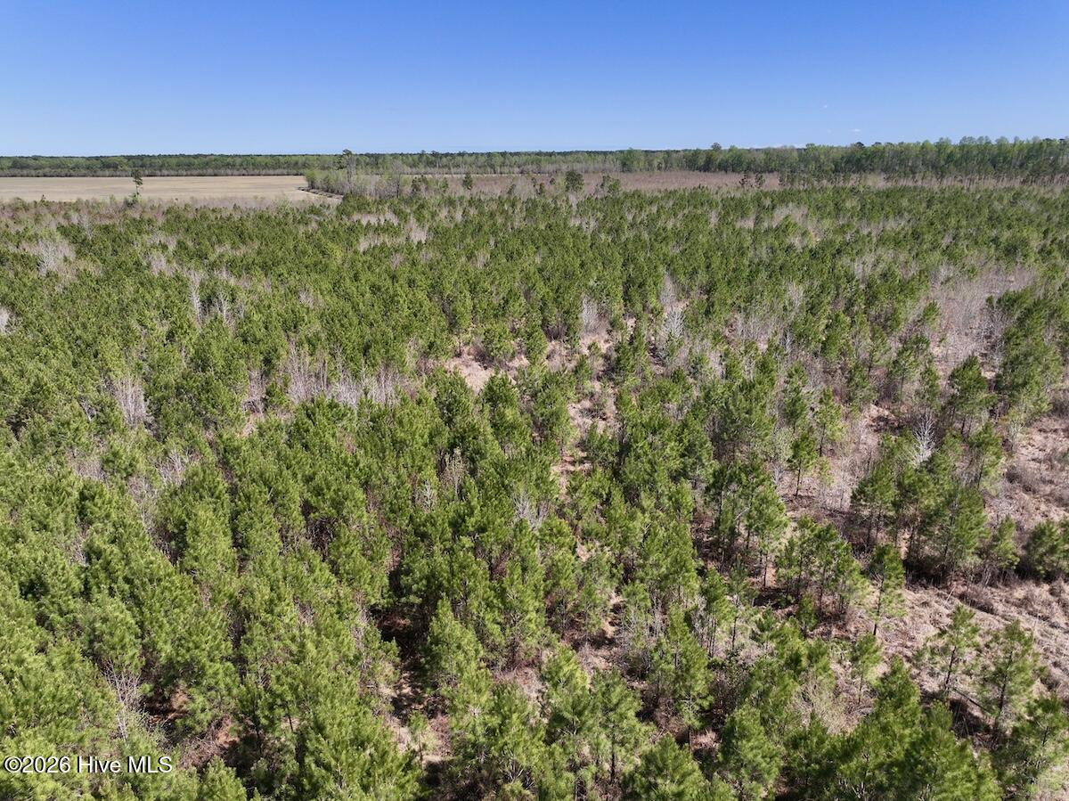 0 Guinea Mill Road, Ernul, NC, 28527