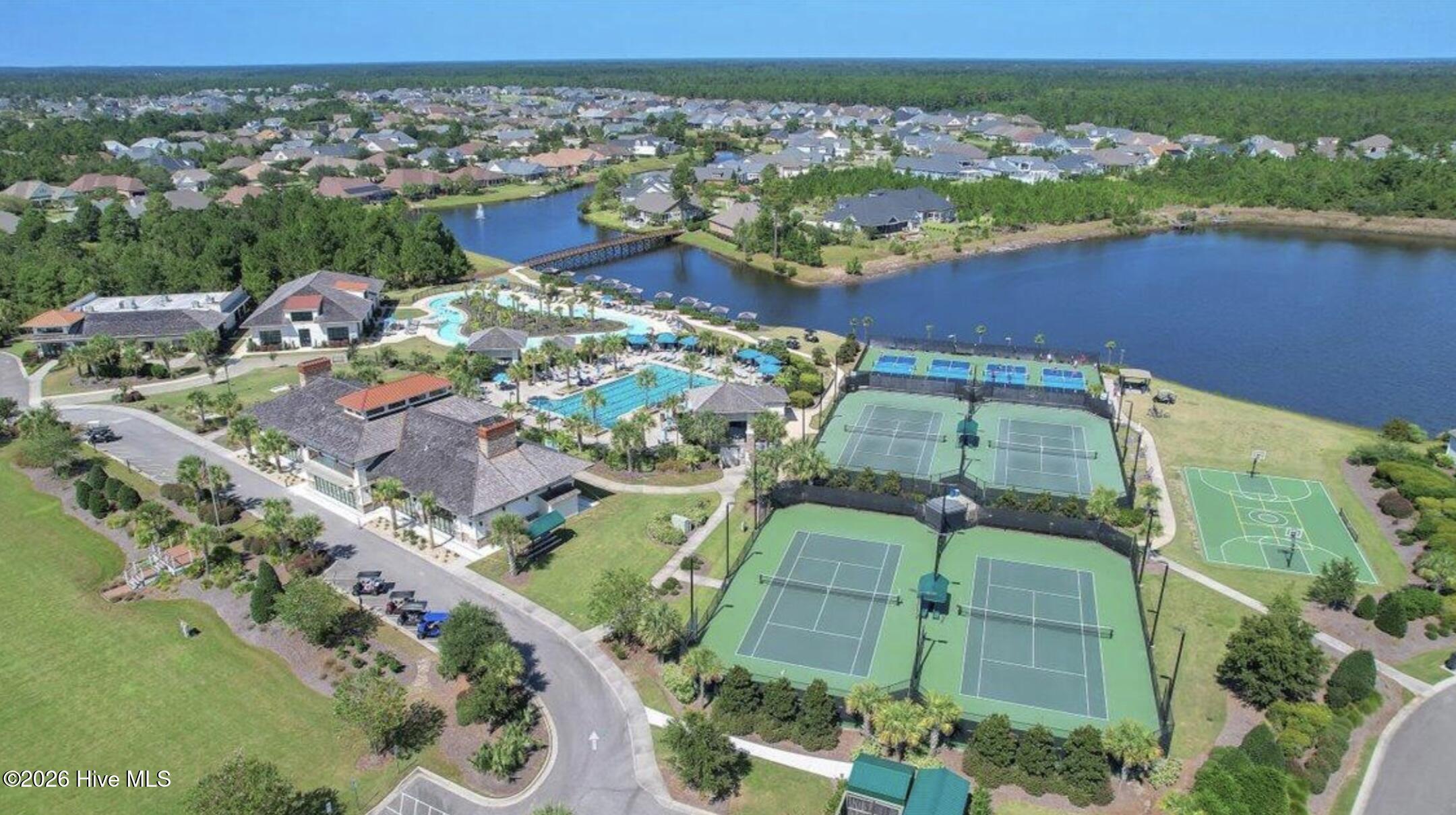 100558839 | Photo 101