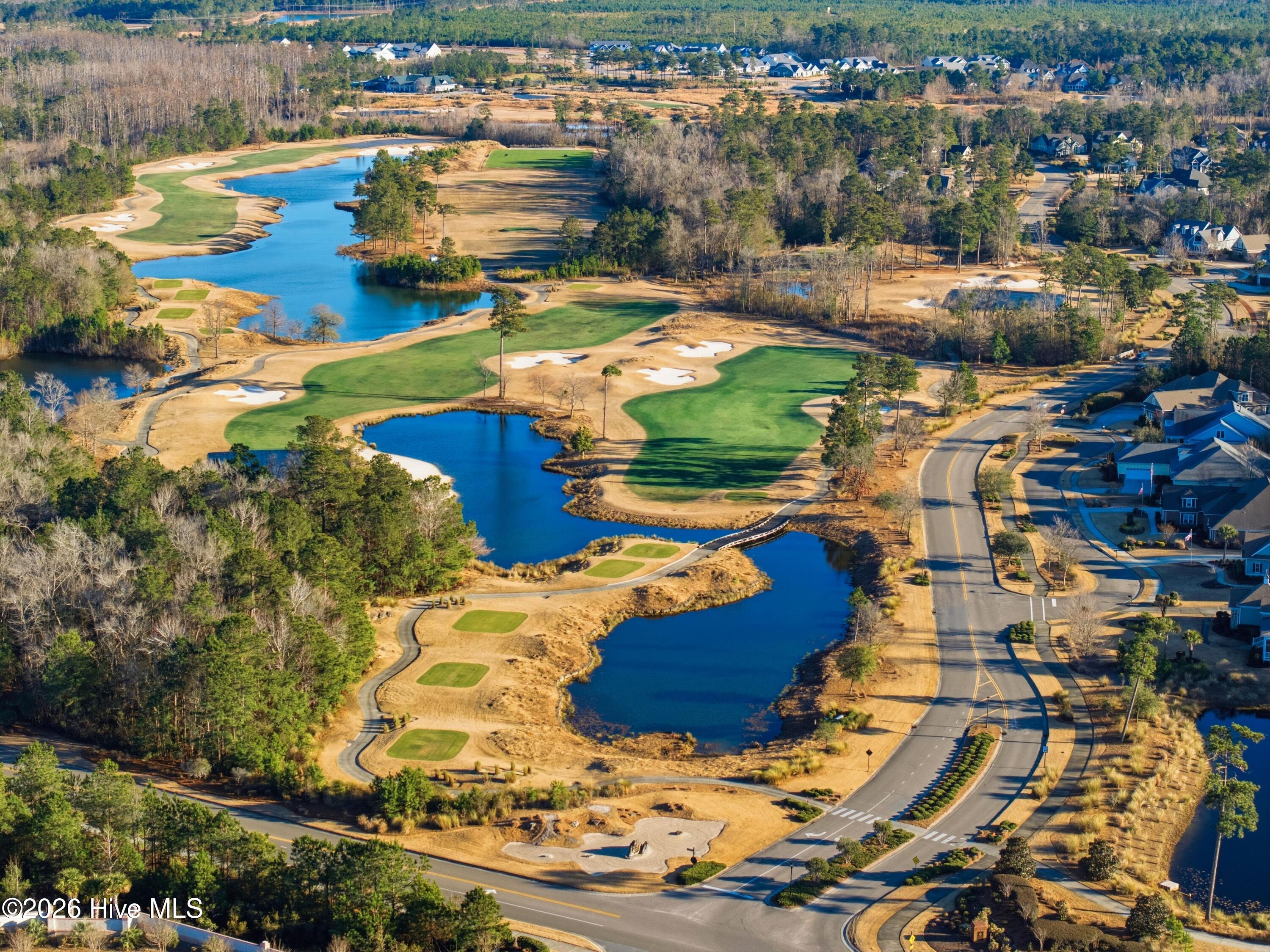 100552646 | Photo 49