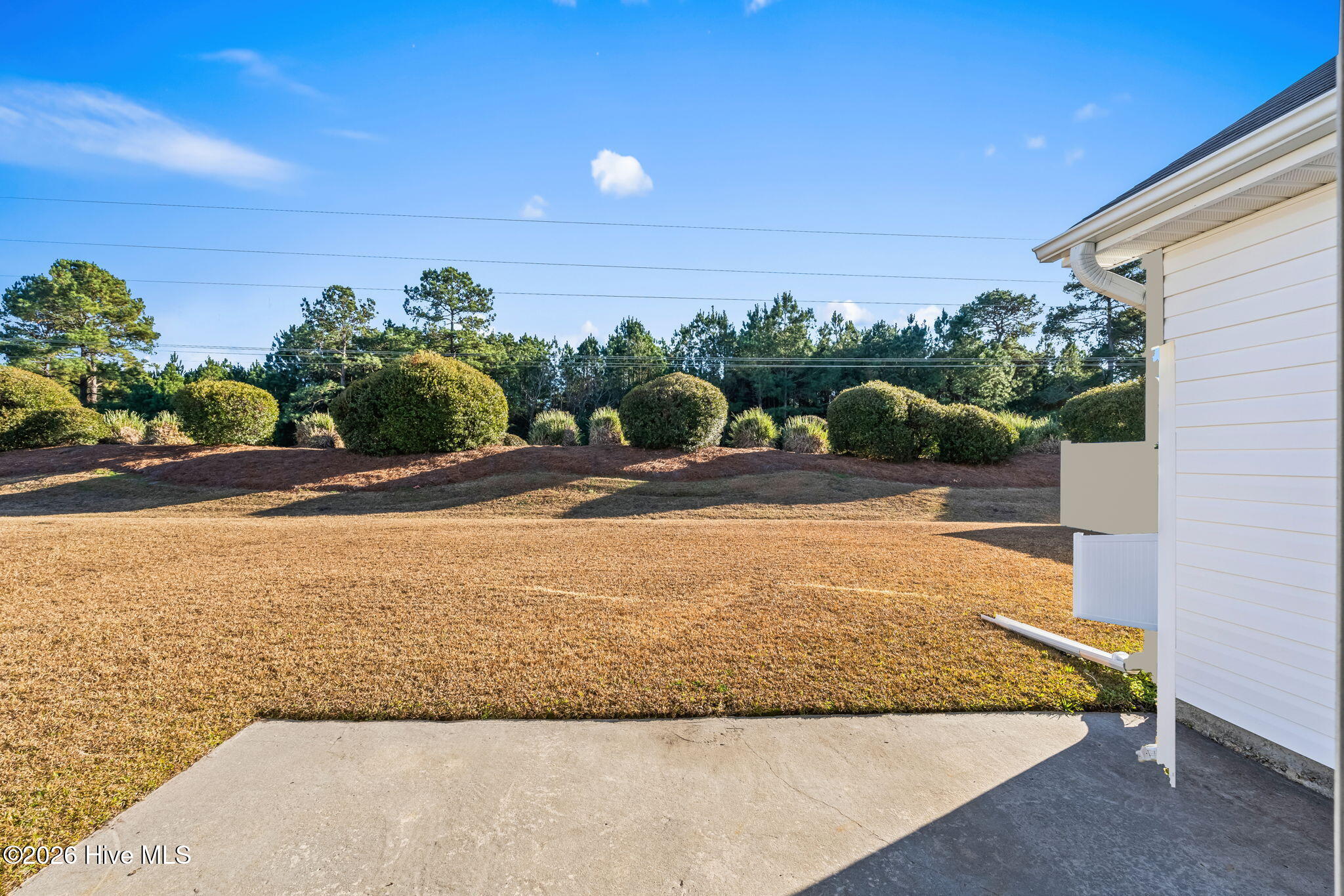 100548691 | Photo 25