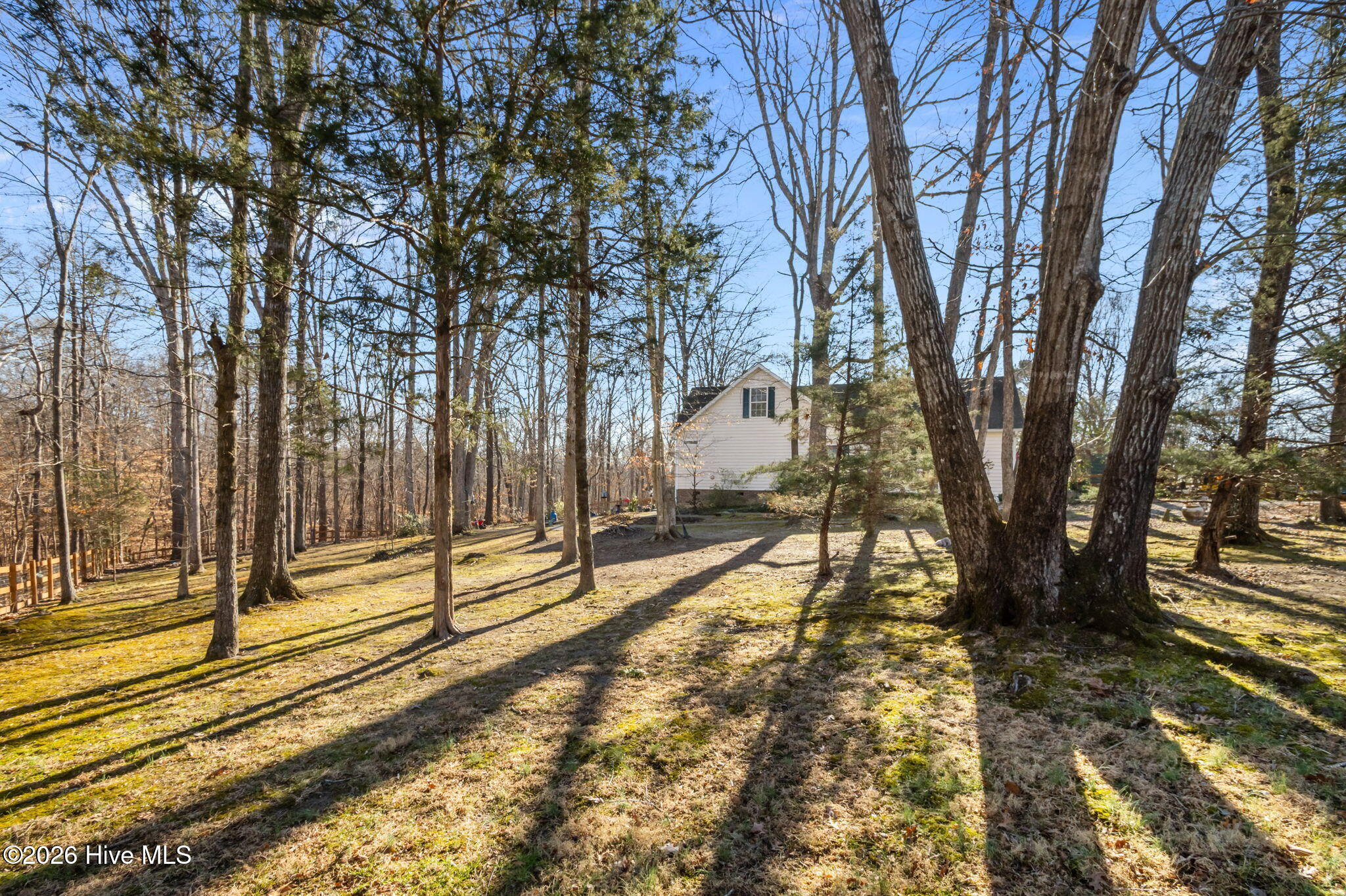 42-web-or-mls-P1100580