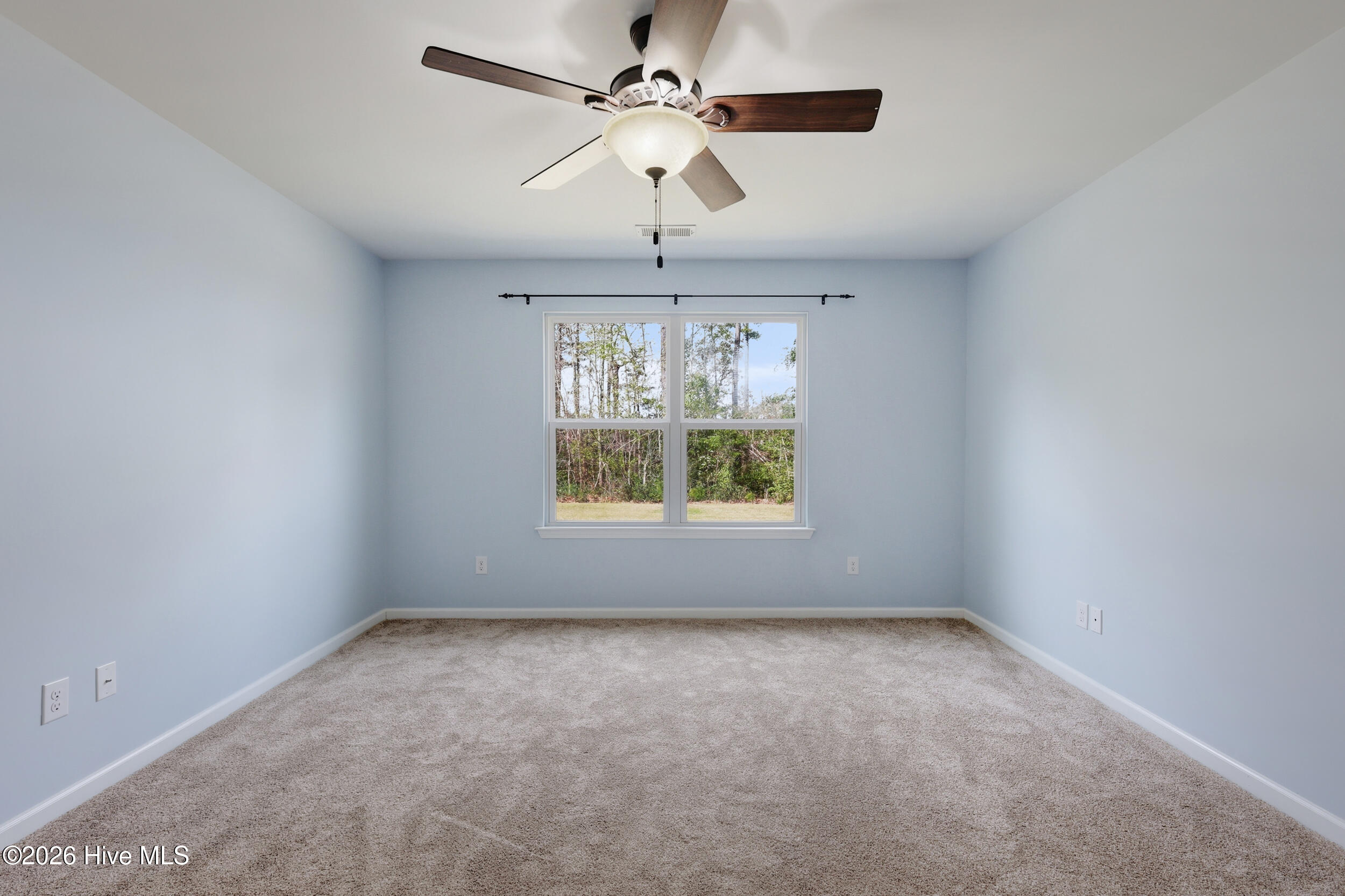 100563089 | Photo 16