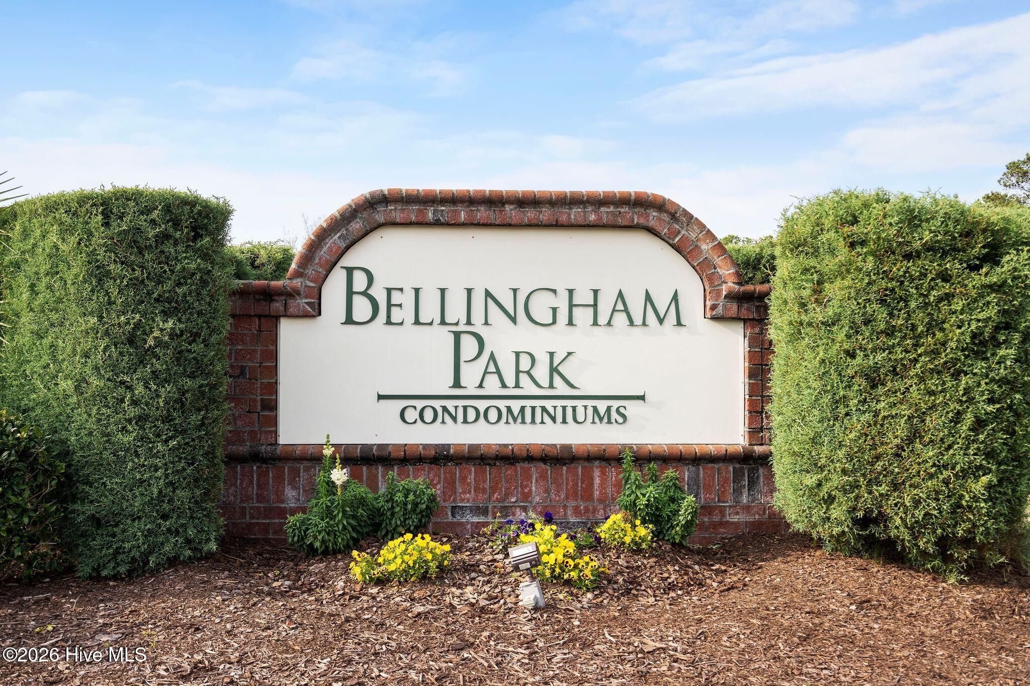 100559771 | Photo 36