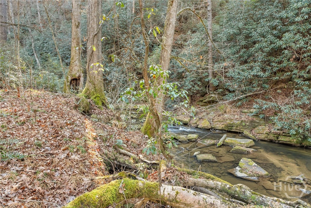 Shoal Creek Habersham County