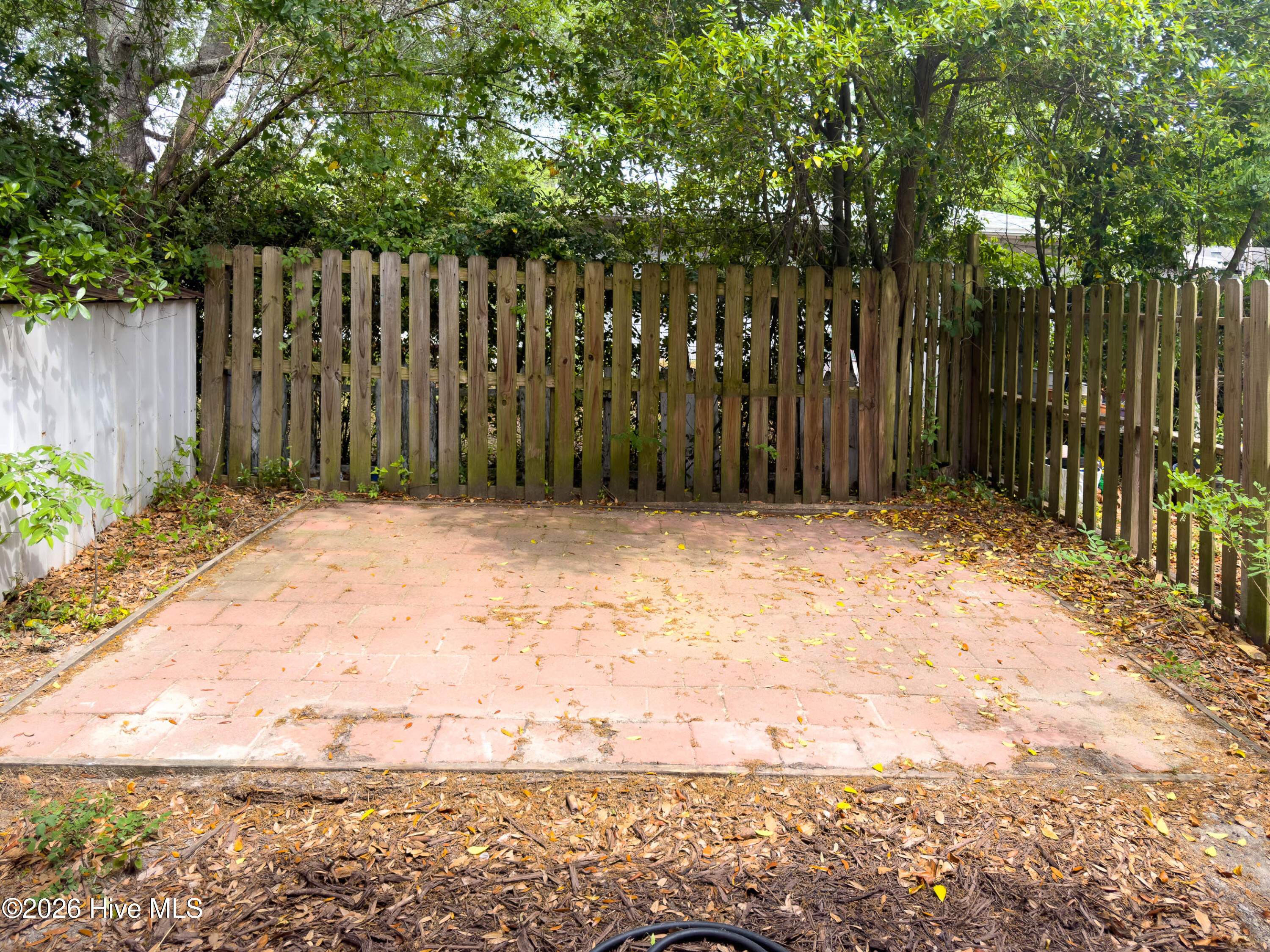 100568677 | Photo 21