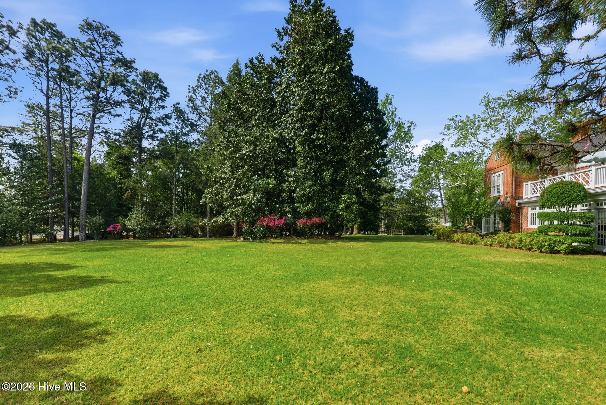 Expansive lawn
