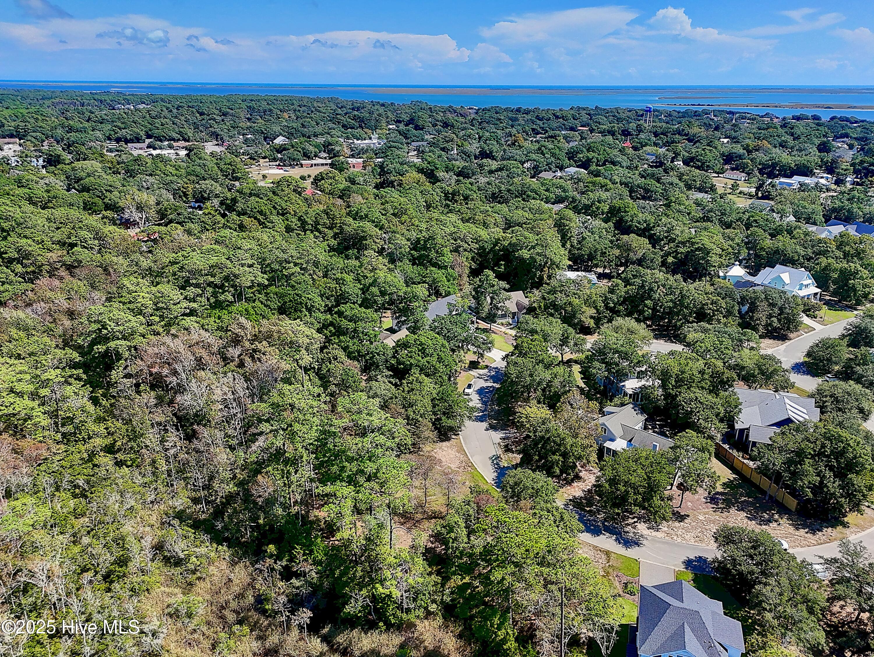 100533379 | Photo 12