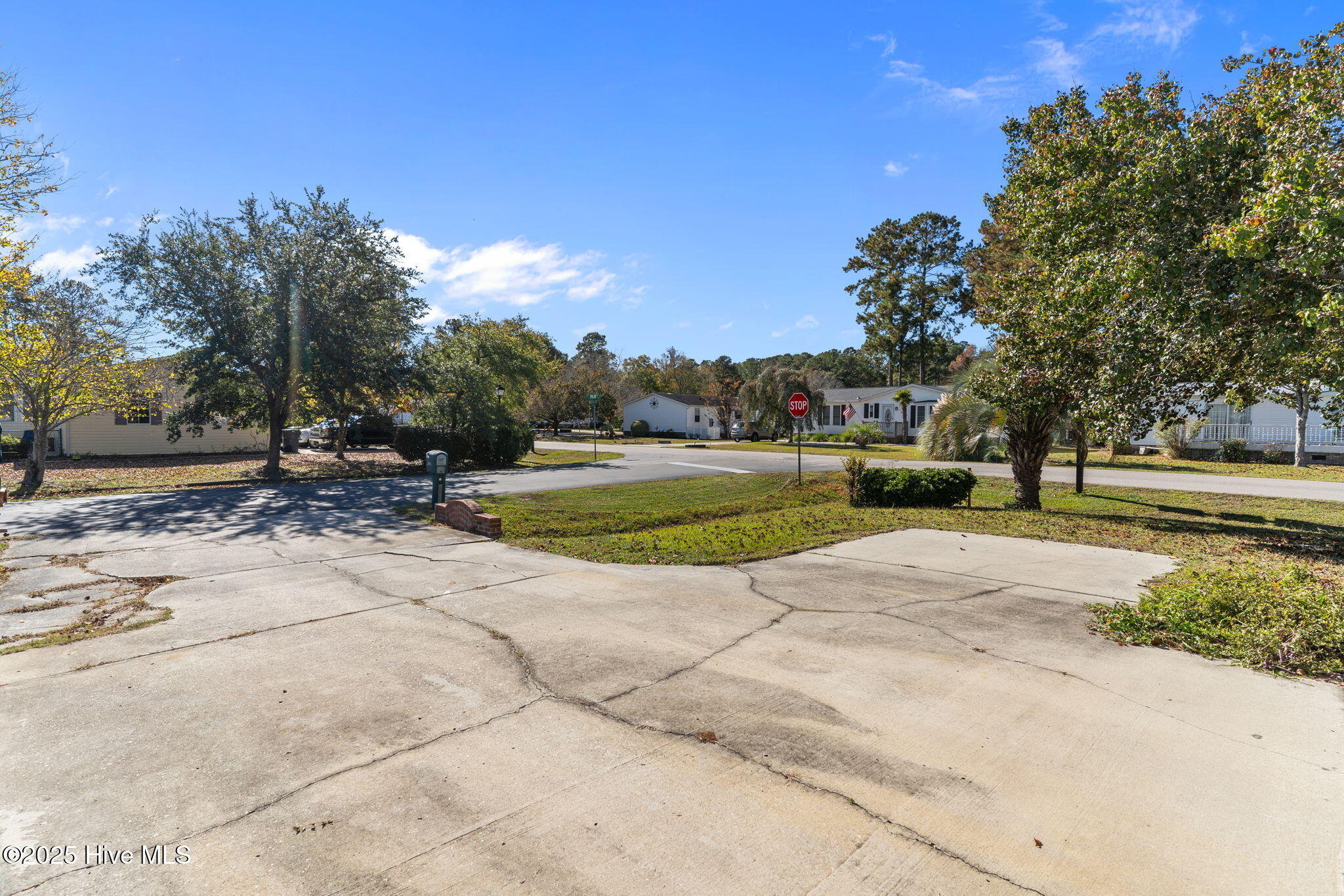 100535102 | Photo 39