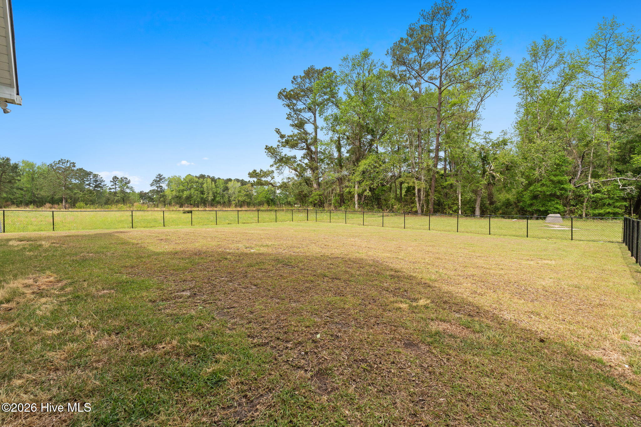 100565582 | Photo 37