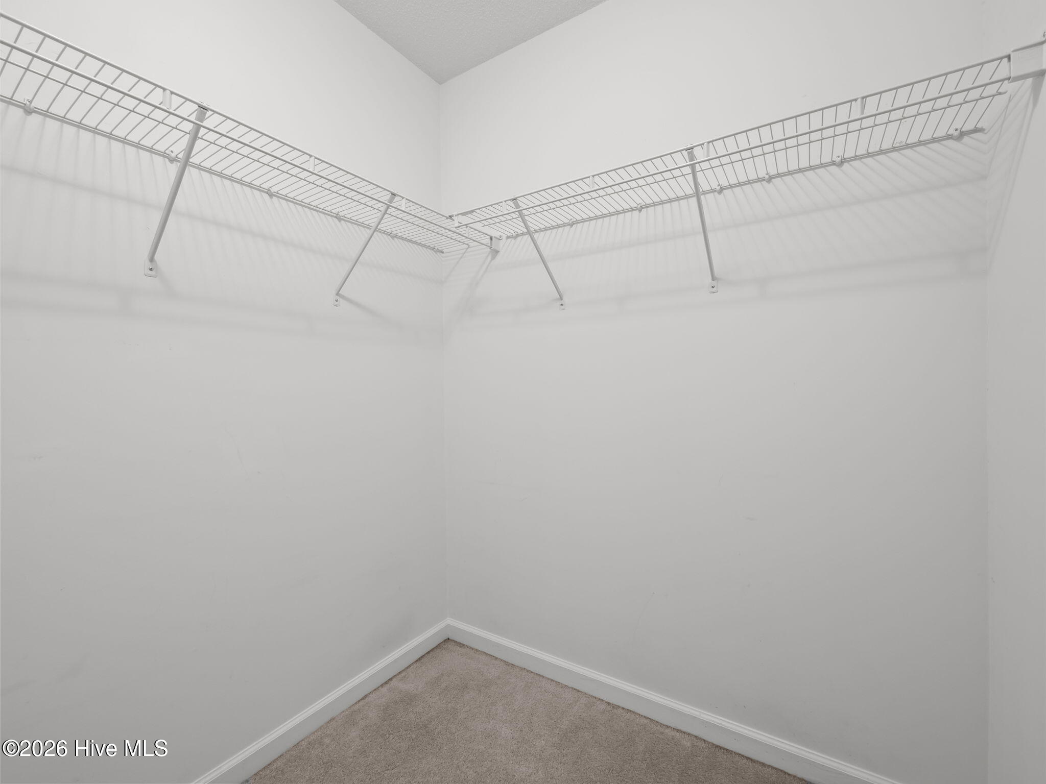 100548288 | Photo 29