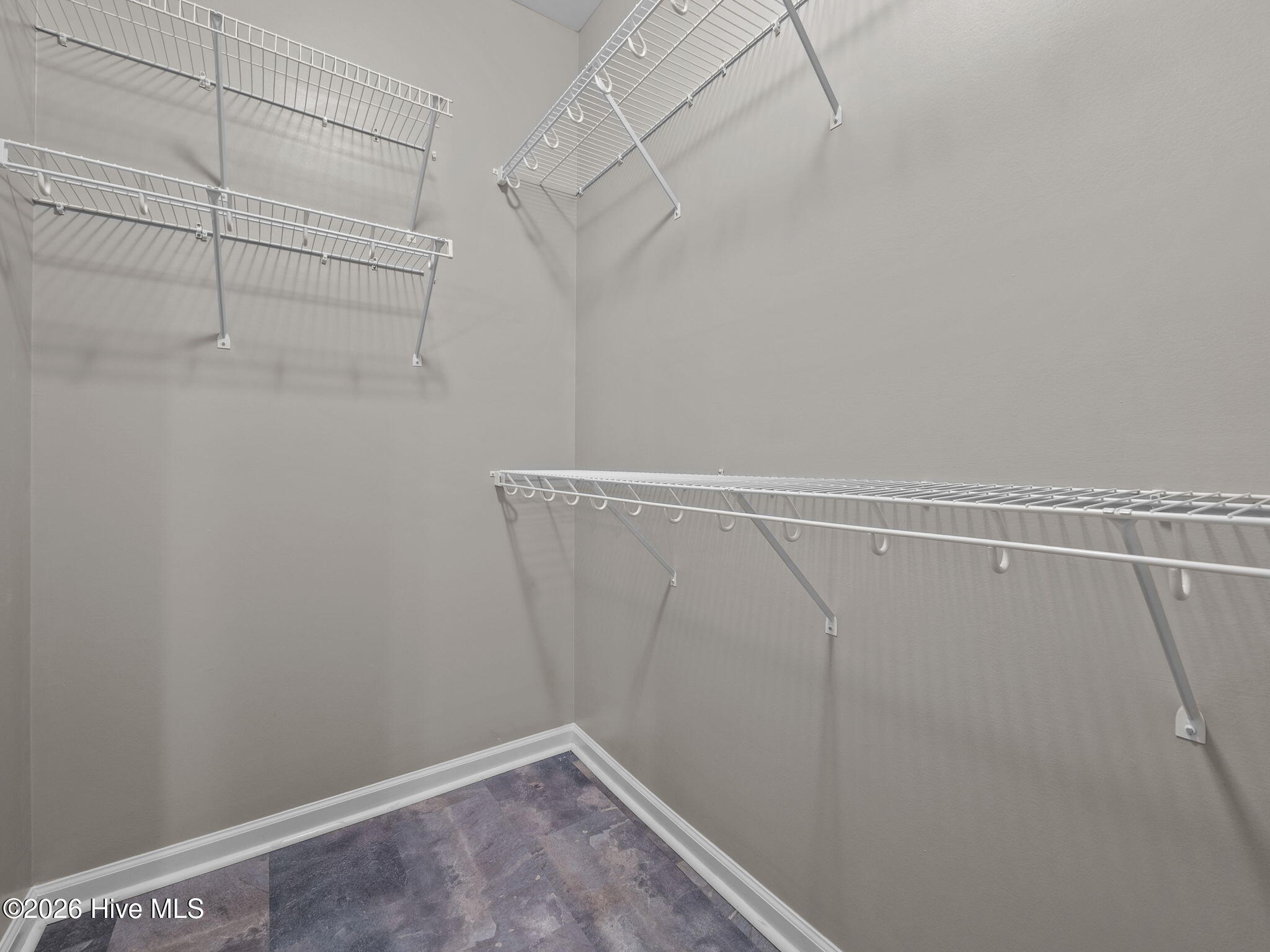 100552892 | Photo 23