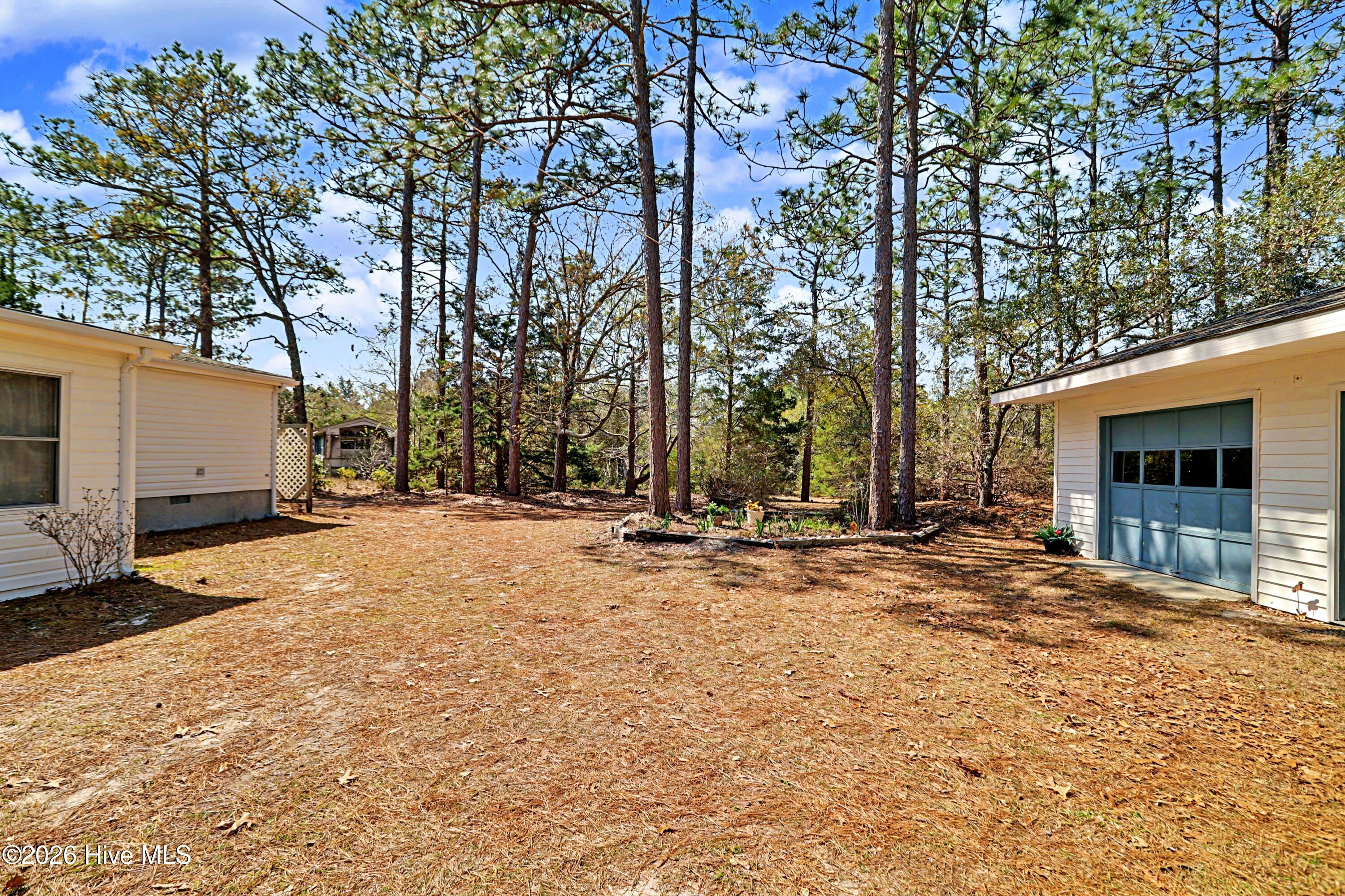 100562538 | Photo 37