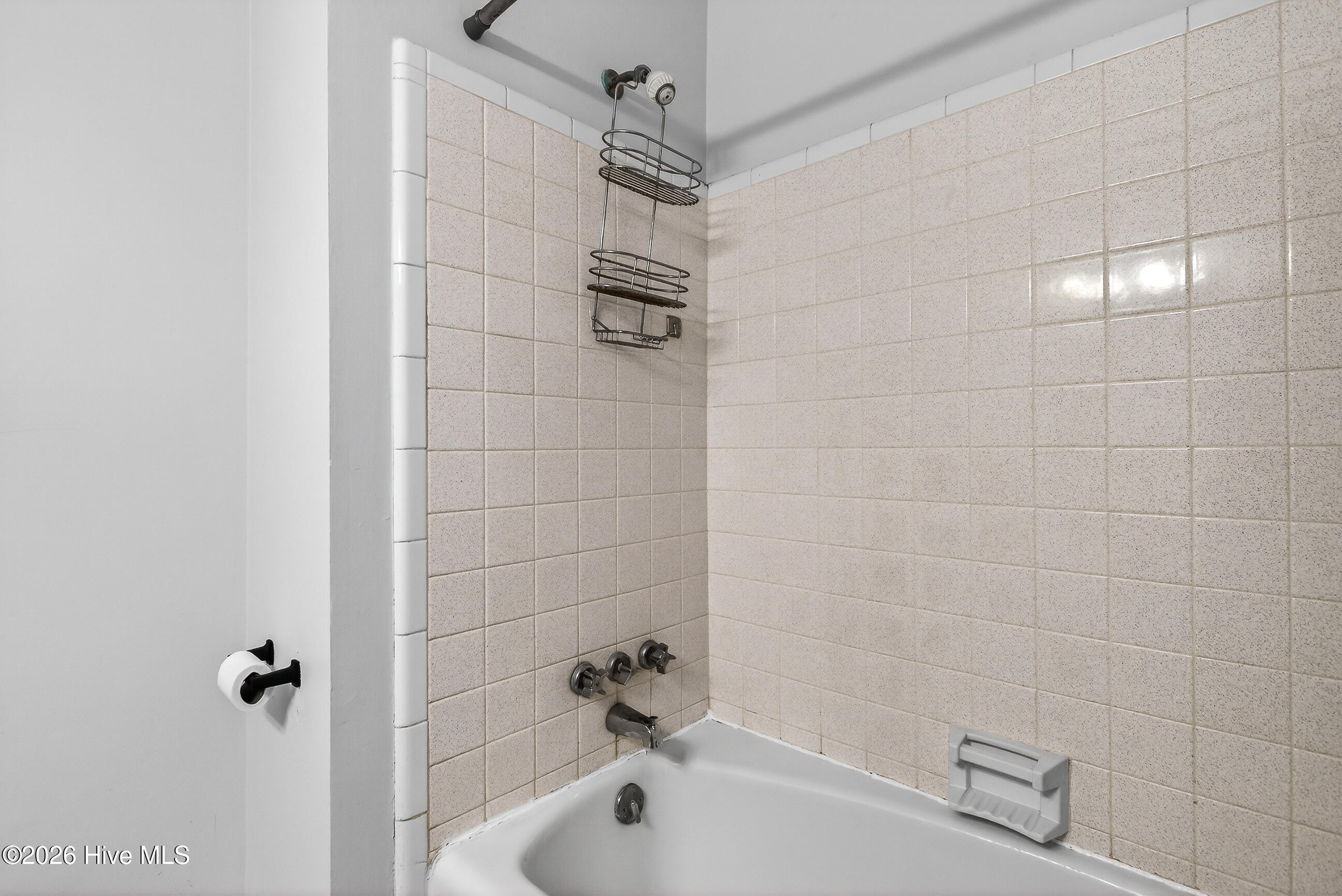 100553454 | Photo 19