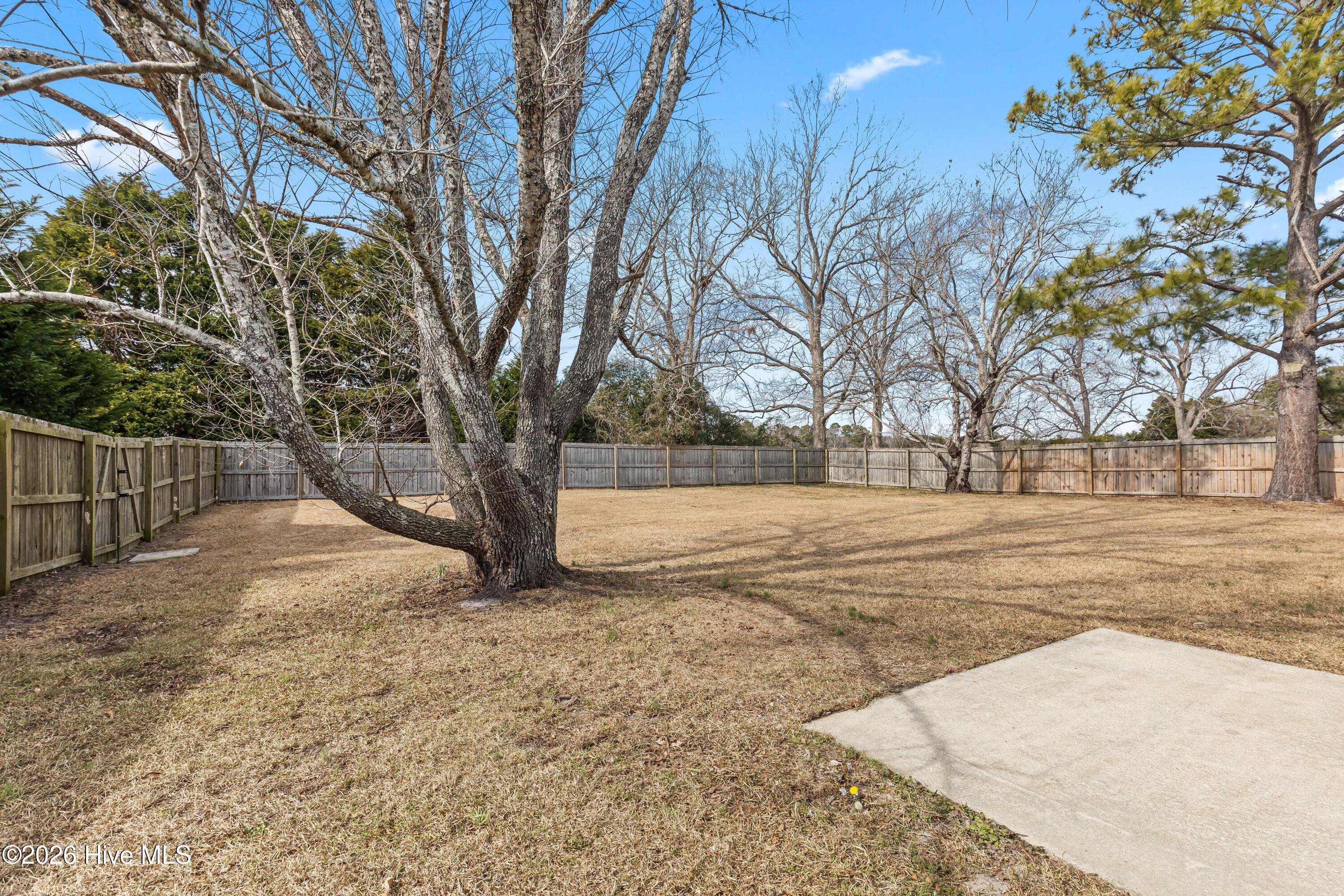 100554096 | Photo 16