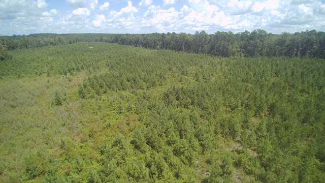 00 Augusta Highway, Dearing, GA 30808 Listing Photo  7