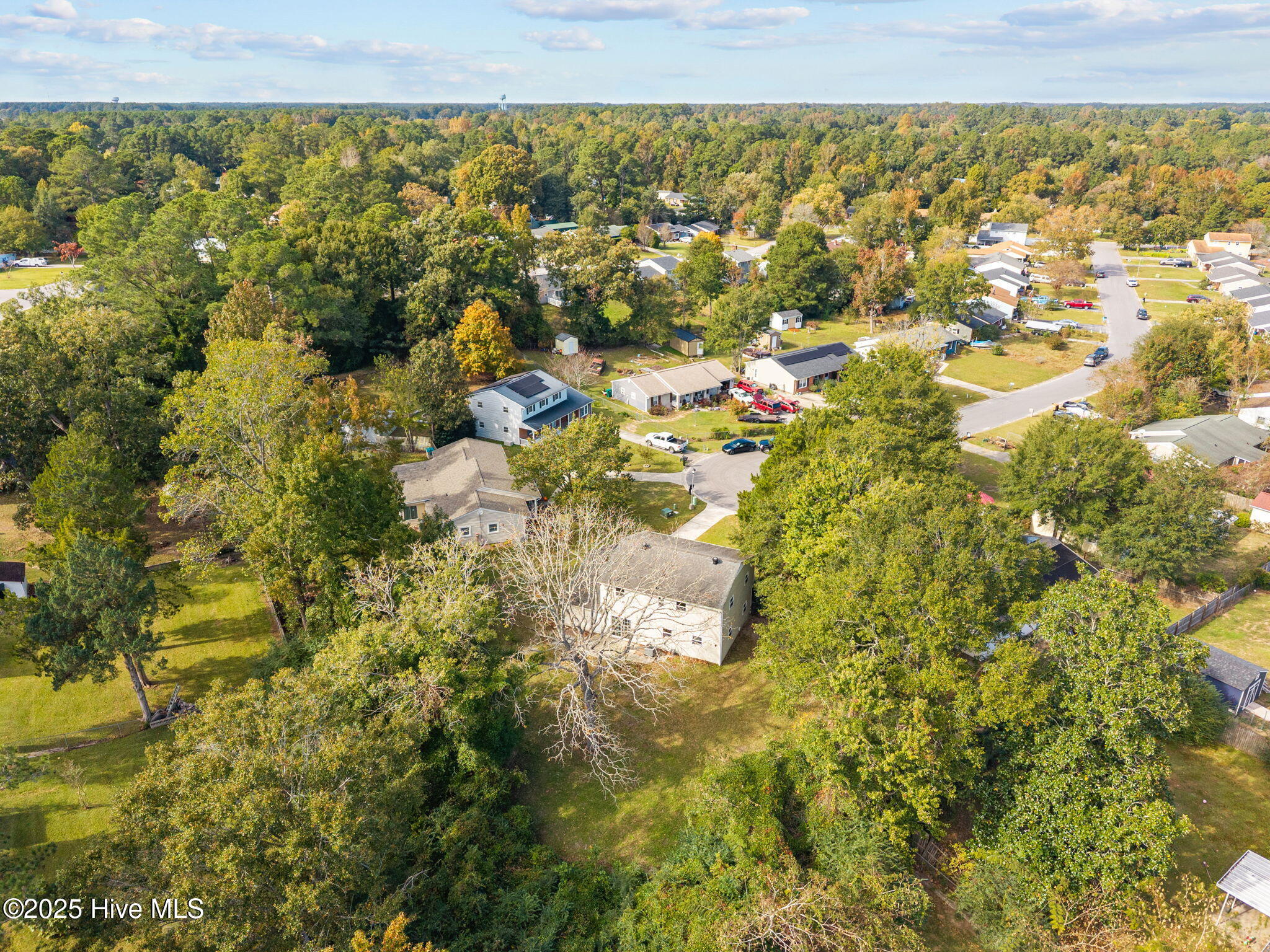 100539019 | Photo 44