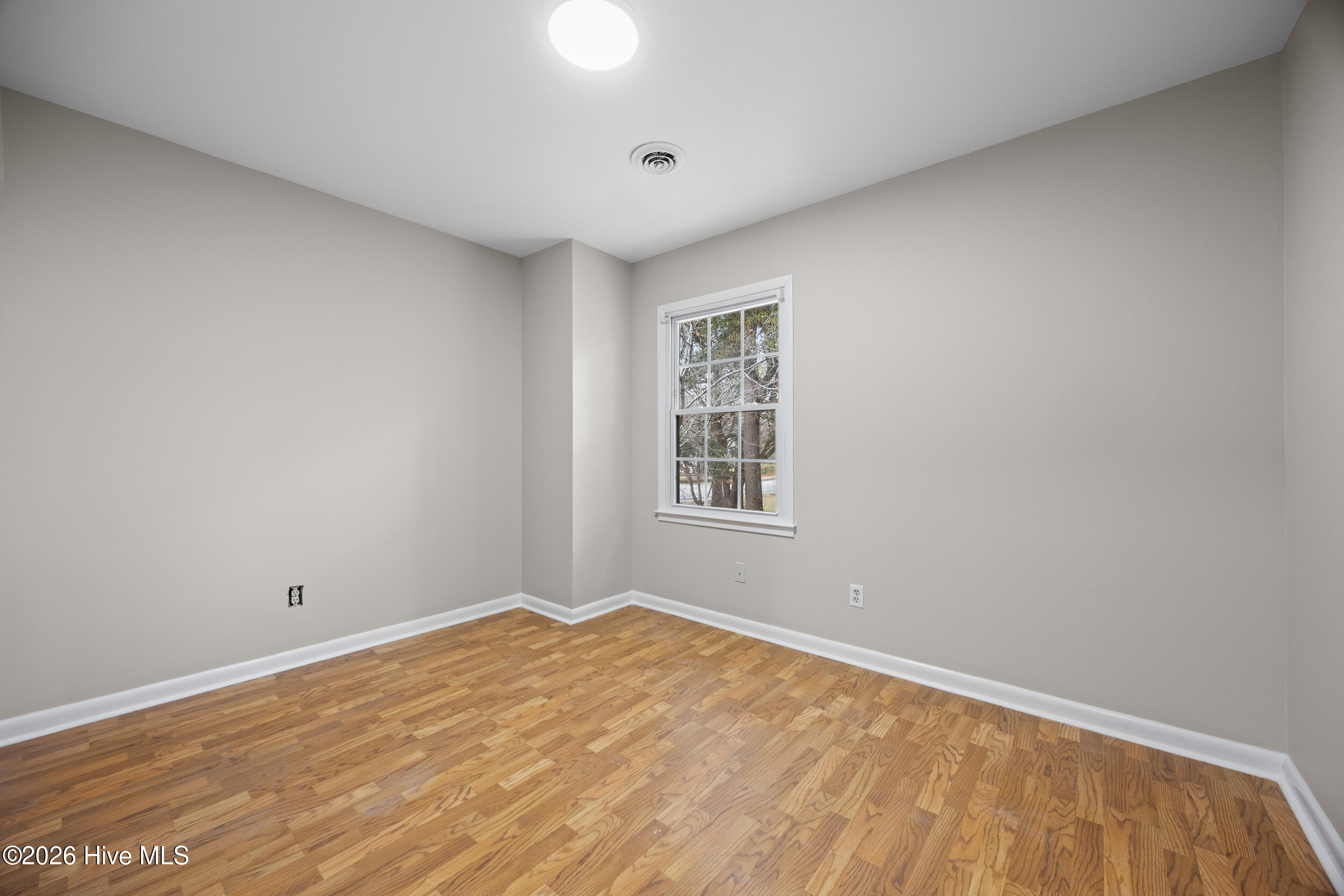 100551778 | Photo 26