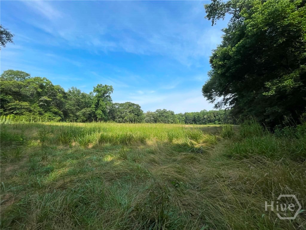 Photo 3 of Land for sale at Tract 1 Highway 29, Royston, GA 30662 | MLS# CL364730 | Listing updated on 2026-09-19