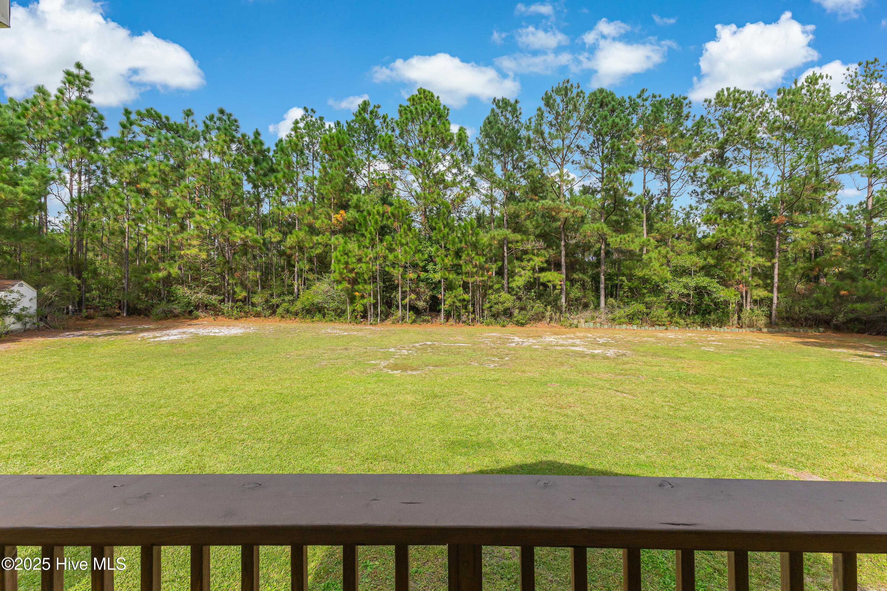 100534568 | Photo 14