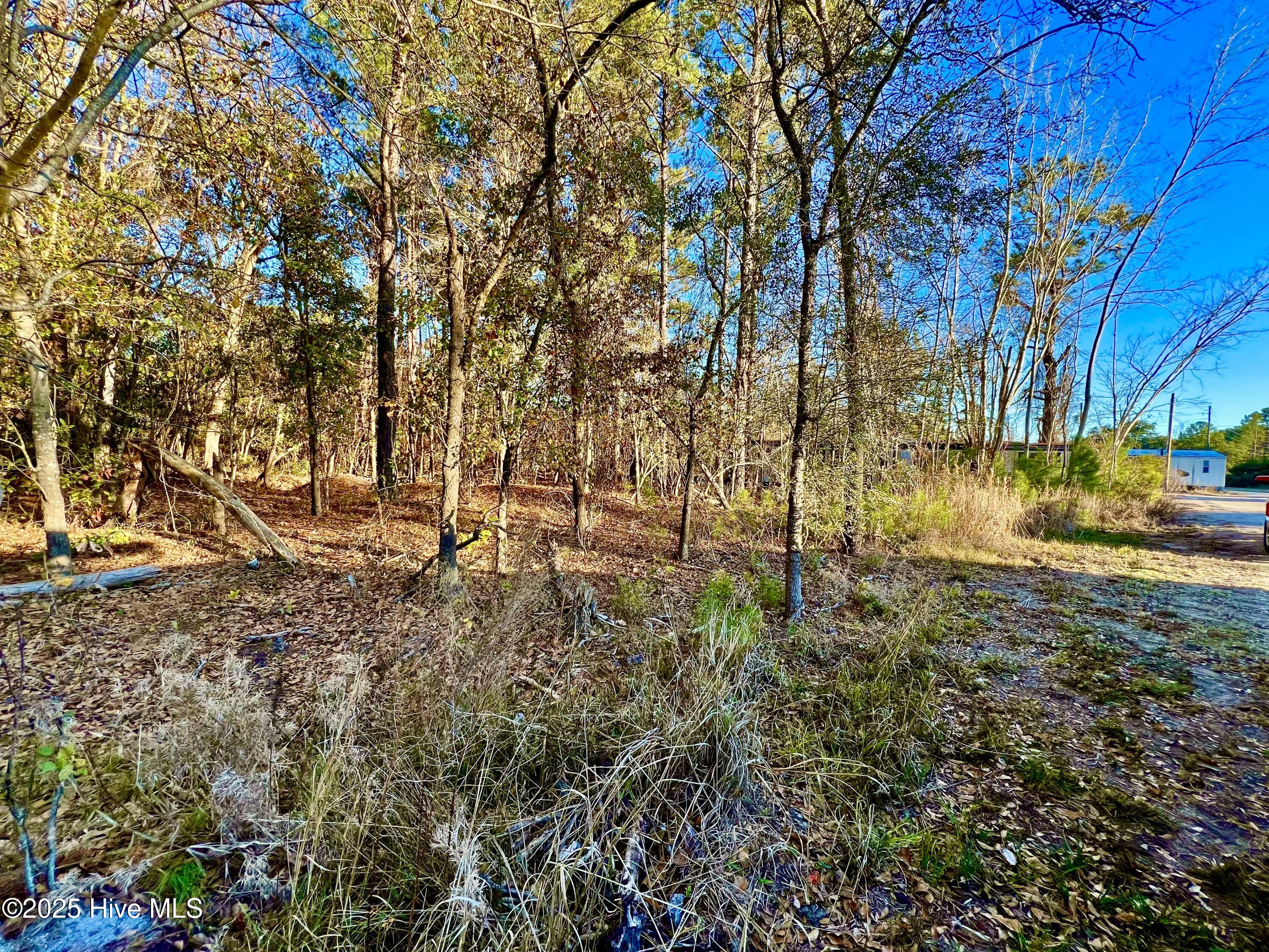 100536501 | Photo 16