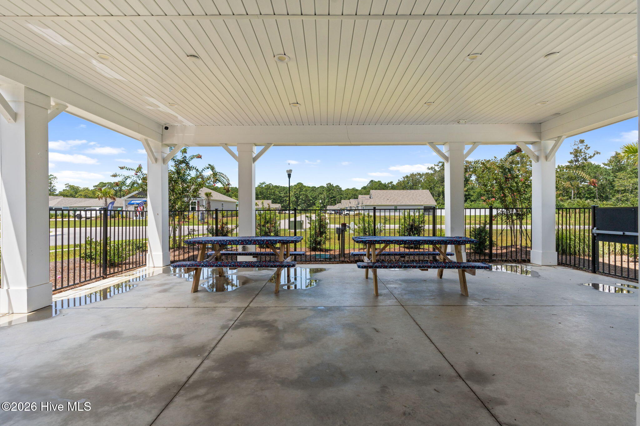 100556458 | Photo 42