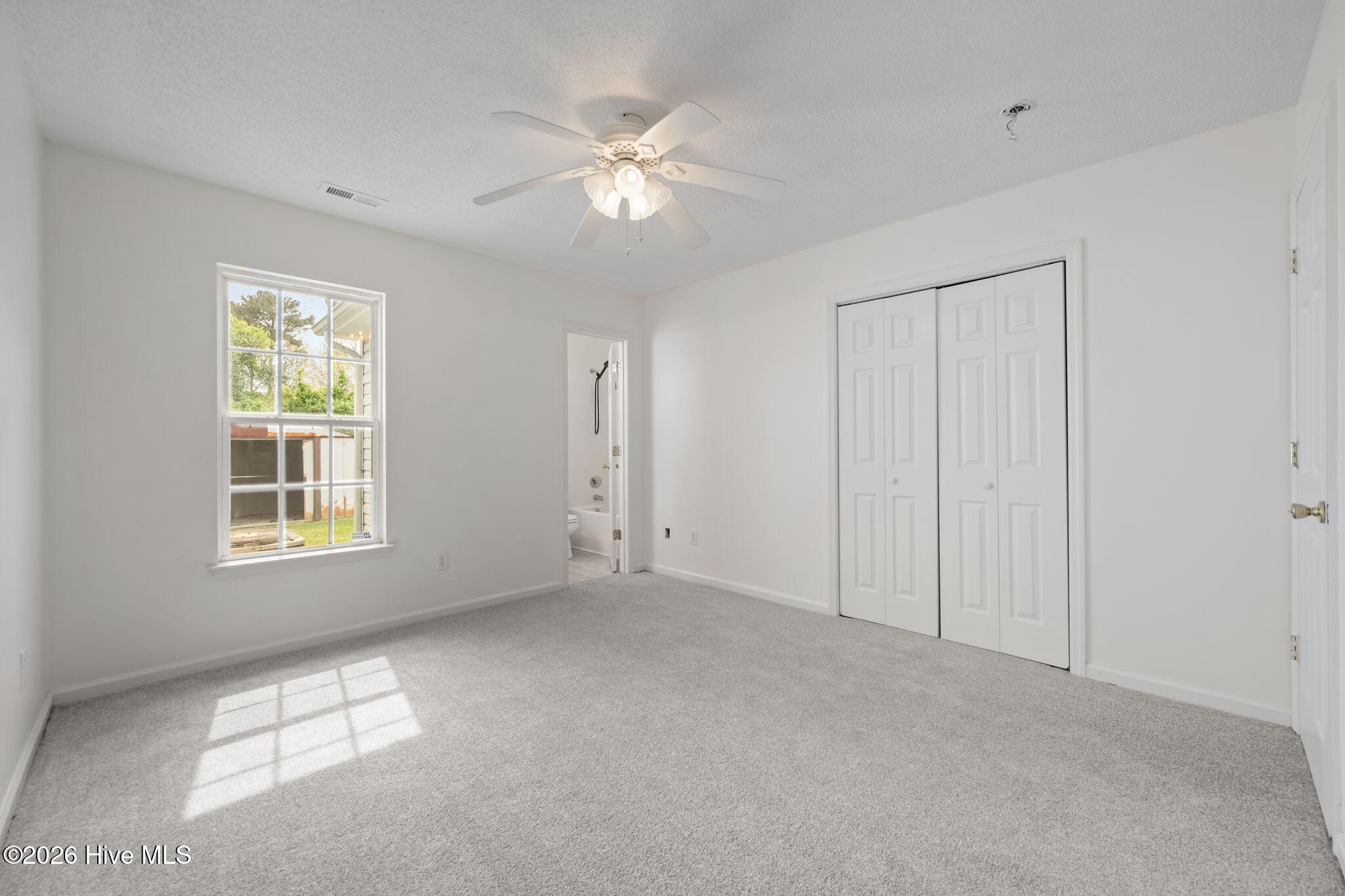 100562645 | Photo 19