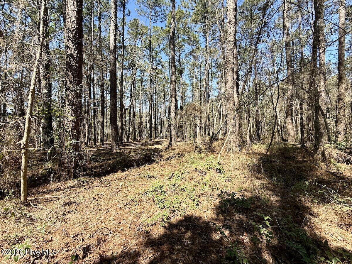 0 Lot 1 Creek Place Road,Arapahoe