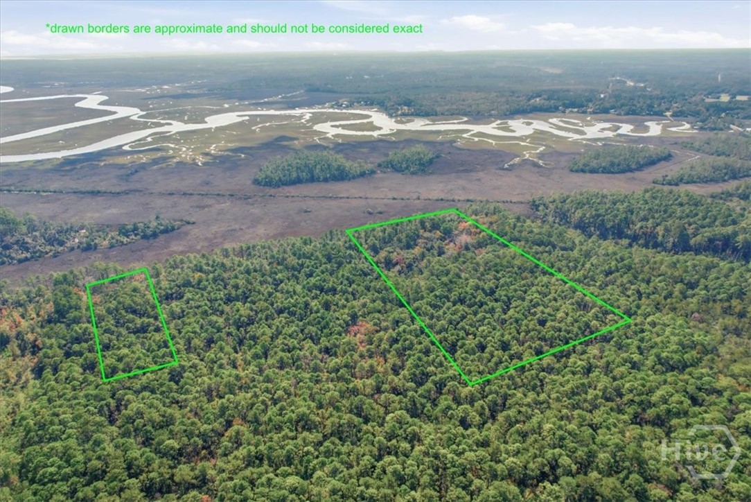 Homes for sale in Townsend, GA | 0 Fair Hope Rd Ne, Townsend, GA 31331 | MLS# SA343434