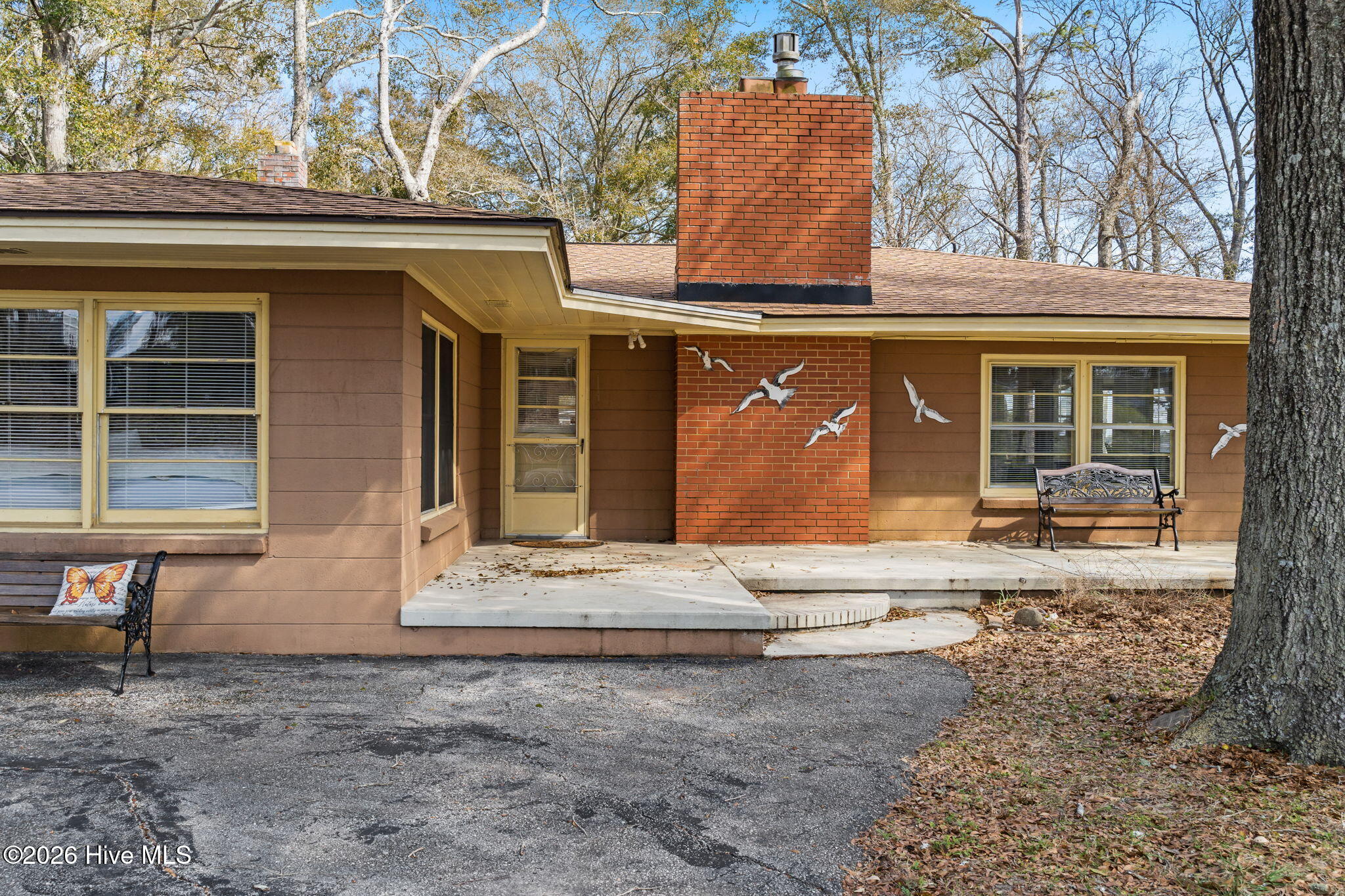 100561810 | Photo 19