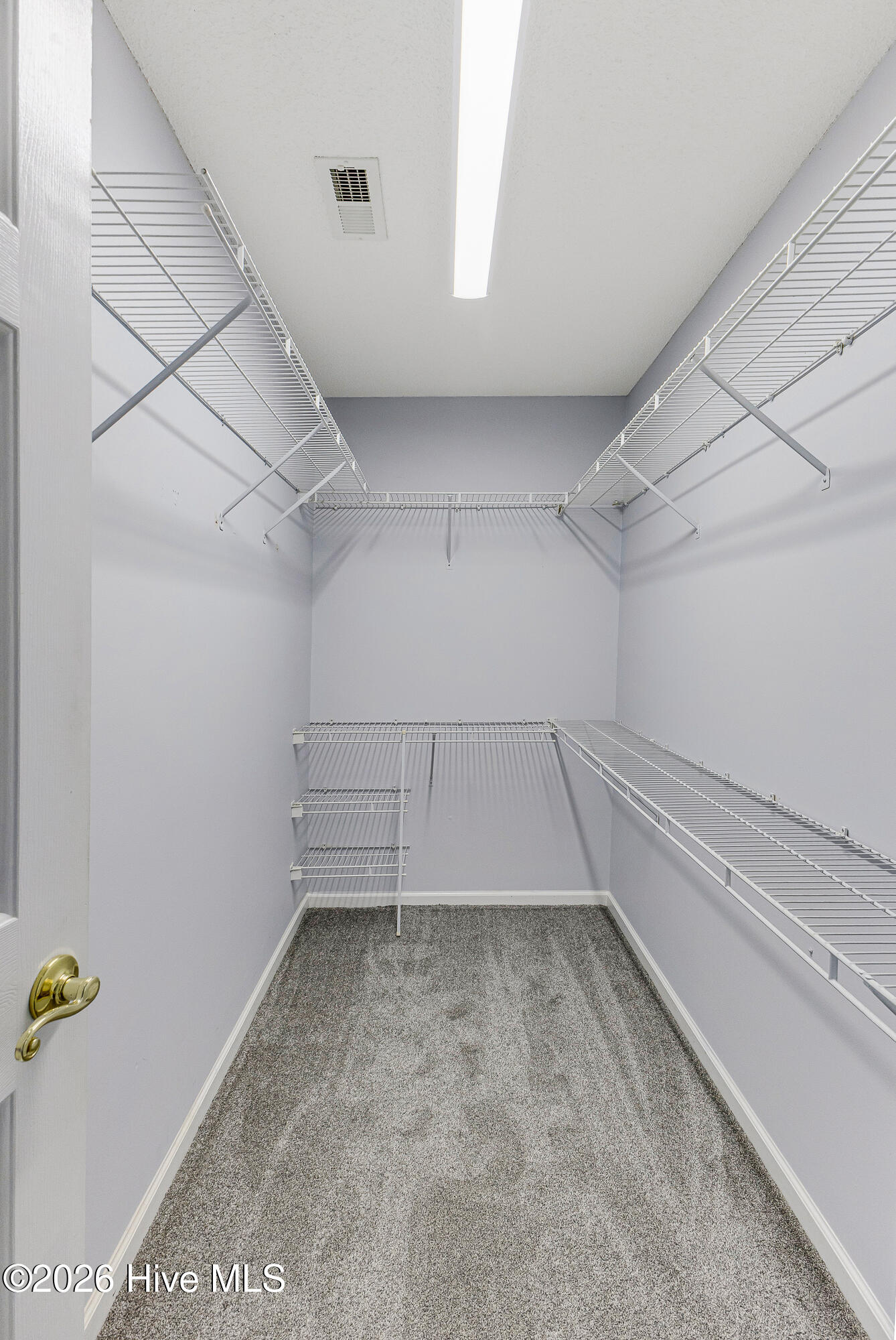 100568217 | Photo 28