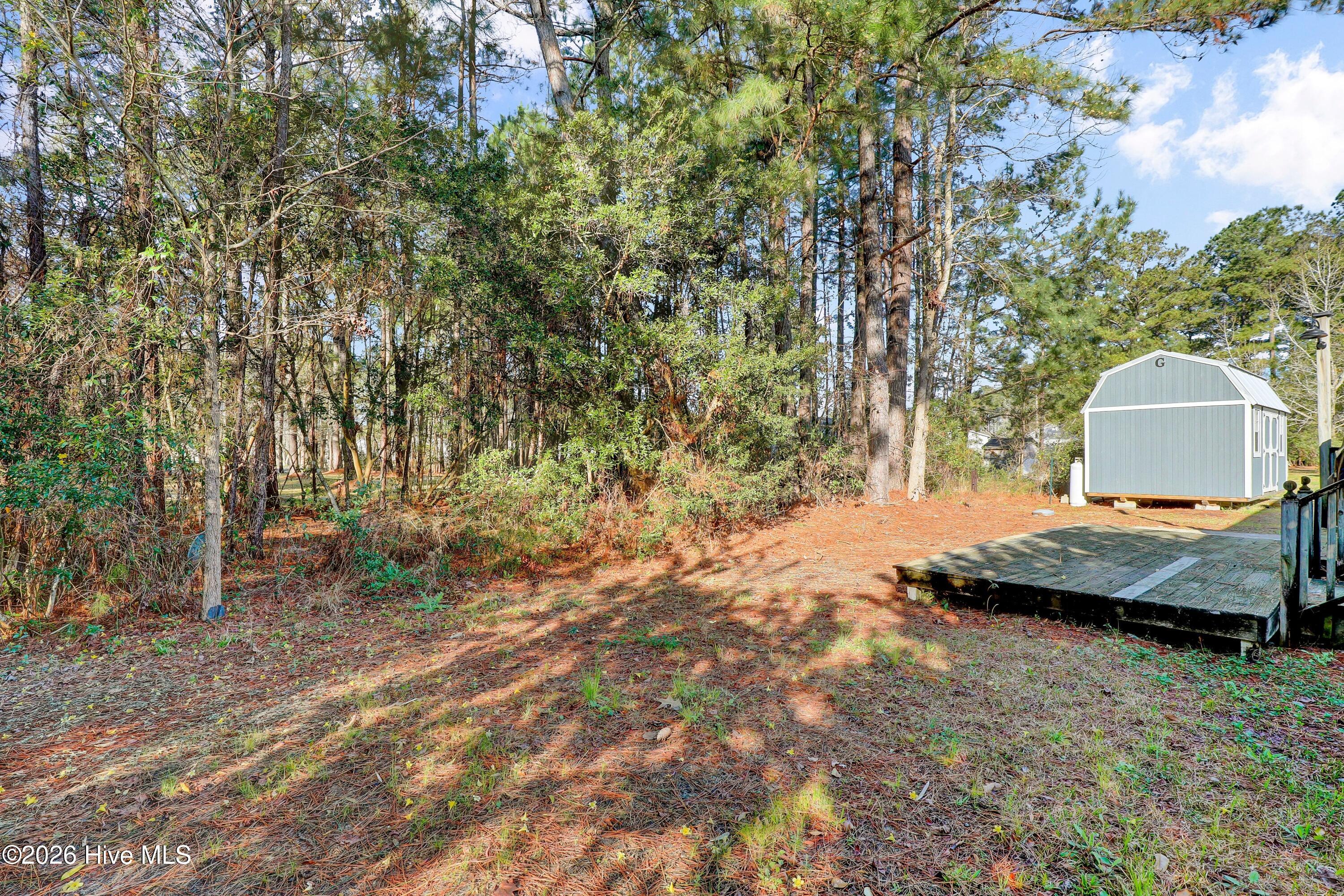 100561181 | Photo 22