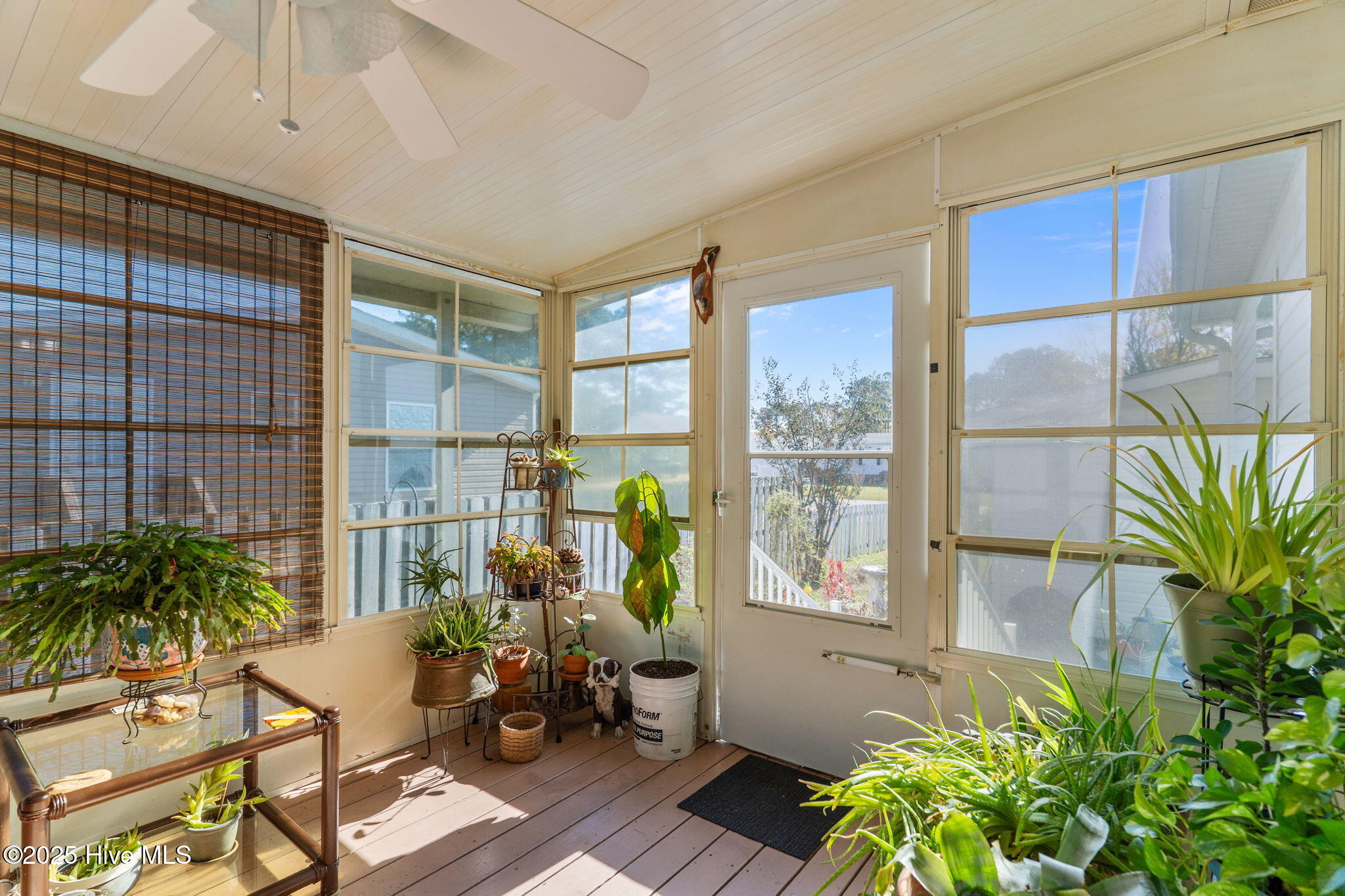 100535102 | Photo 30