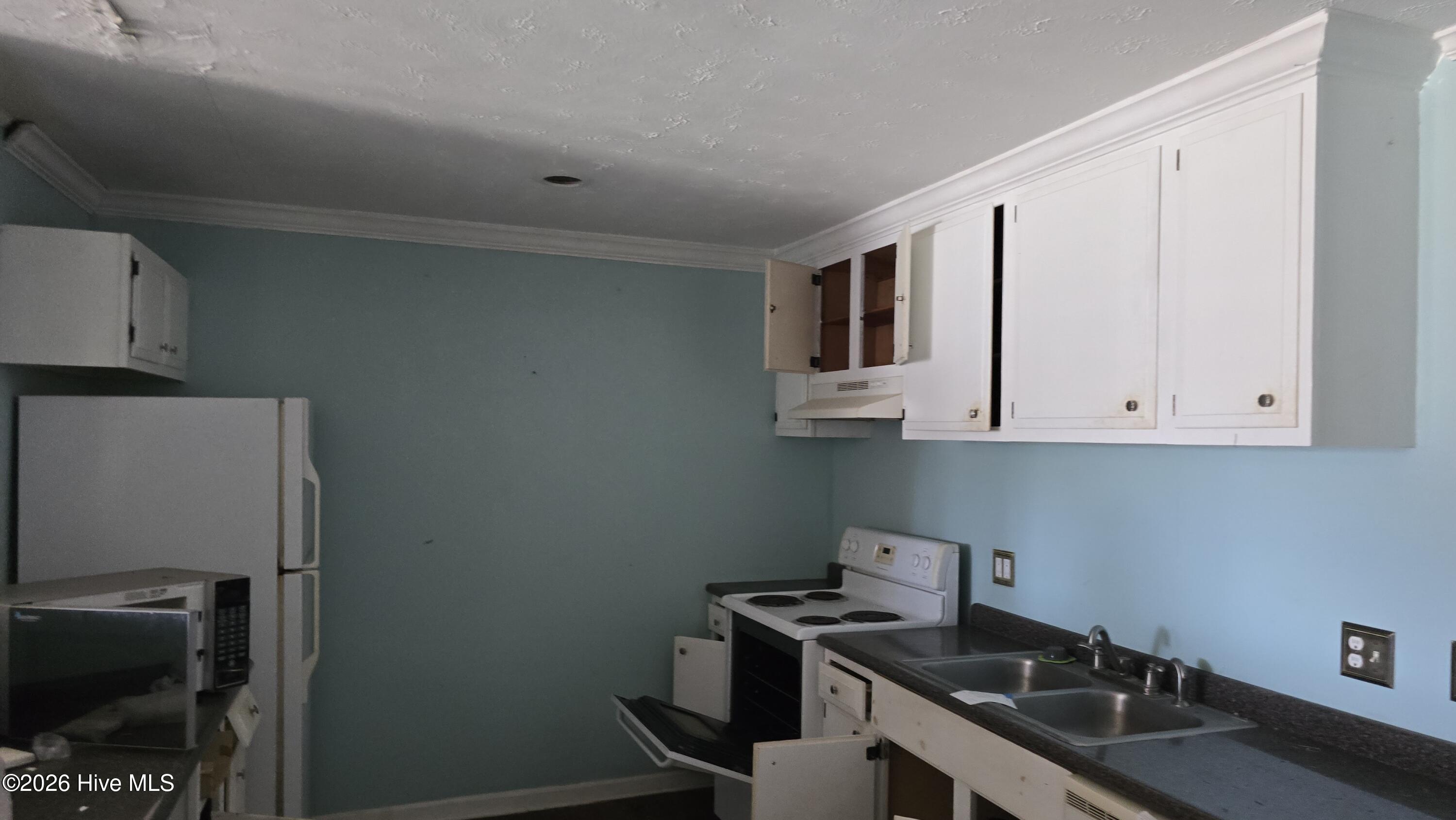 100561564 | Photo 21