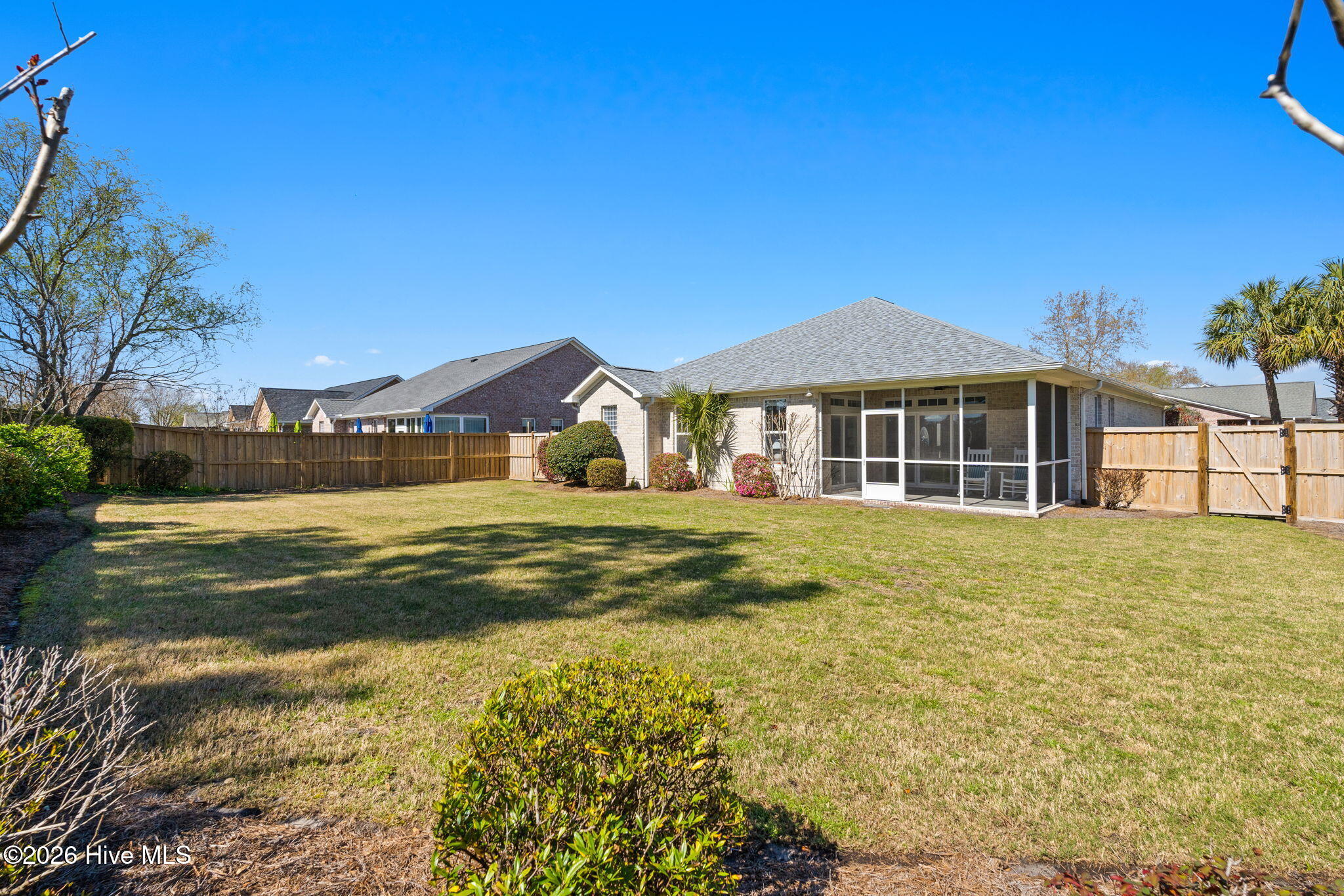 100562365 | Photo 24