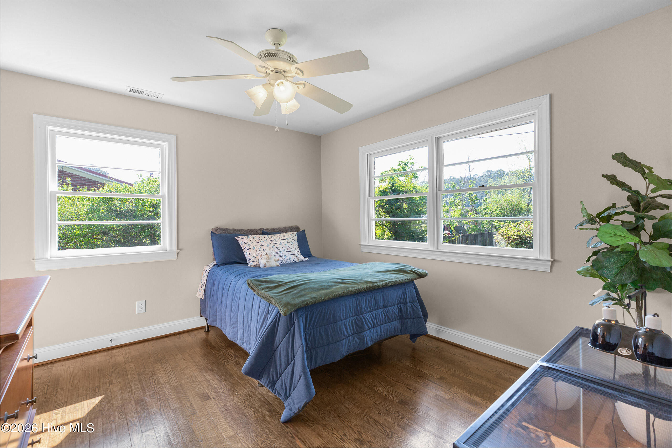 100567533 | Photo 24