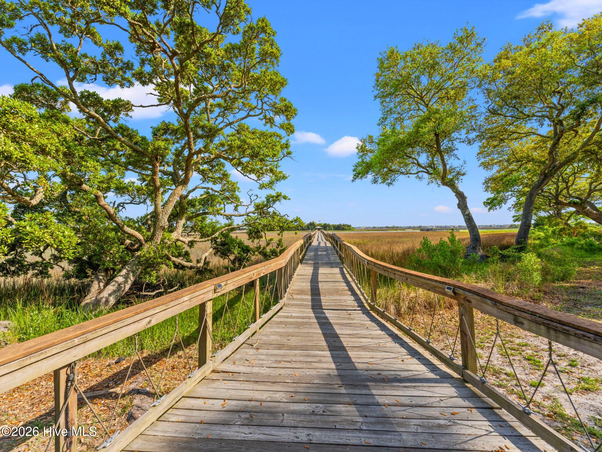 100568629 | Photo 64