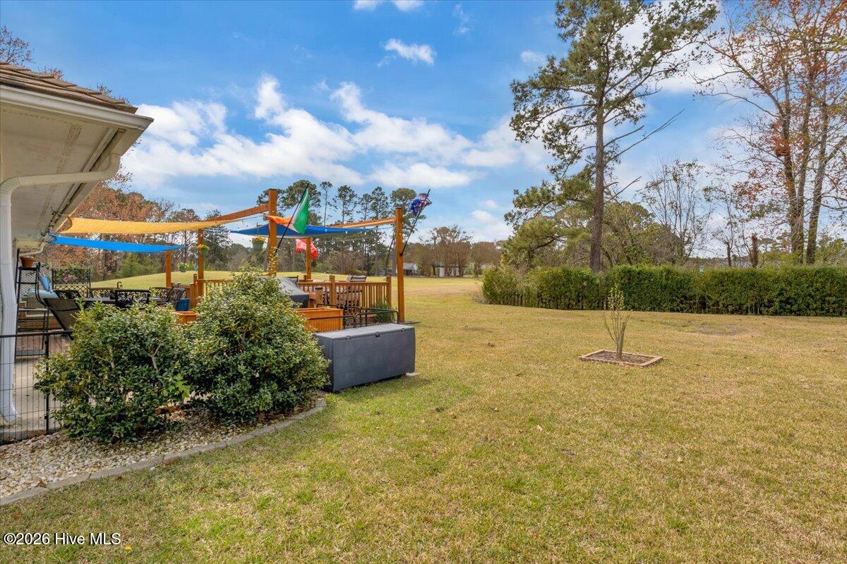 100563011 | Photo 52