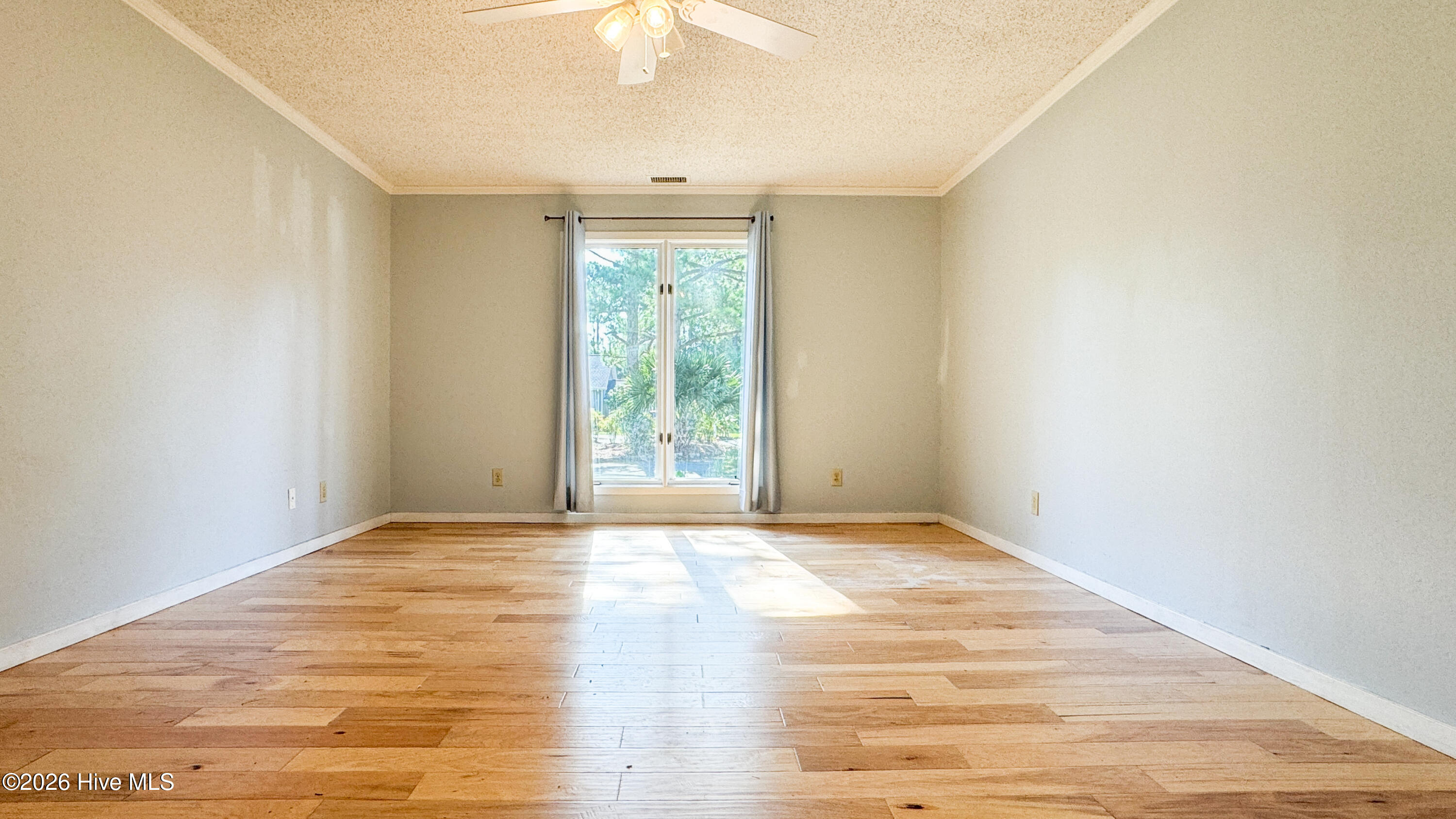 100565099 | Photo 20