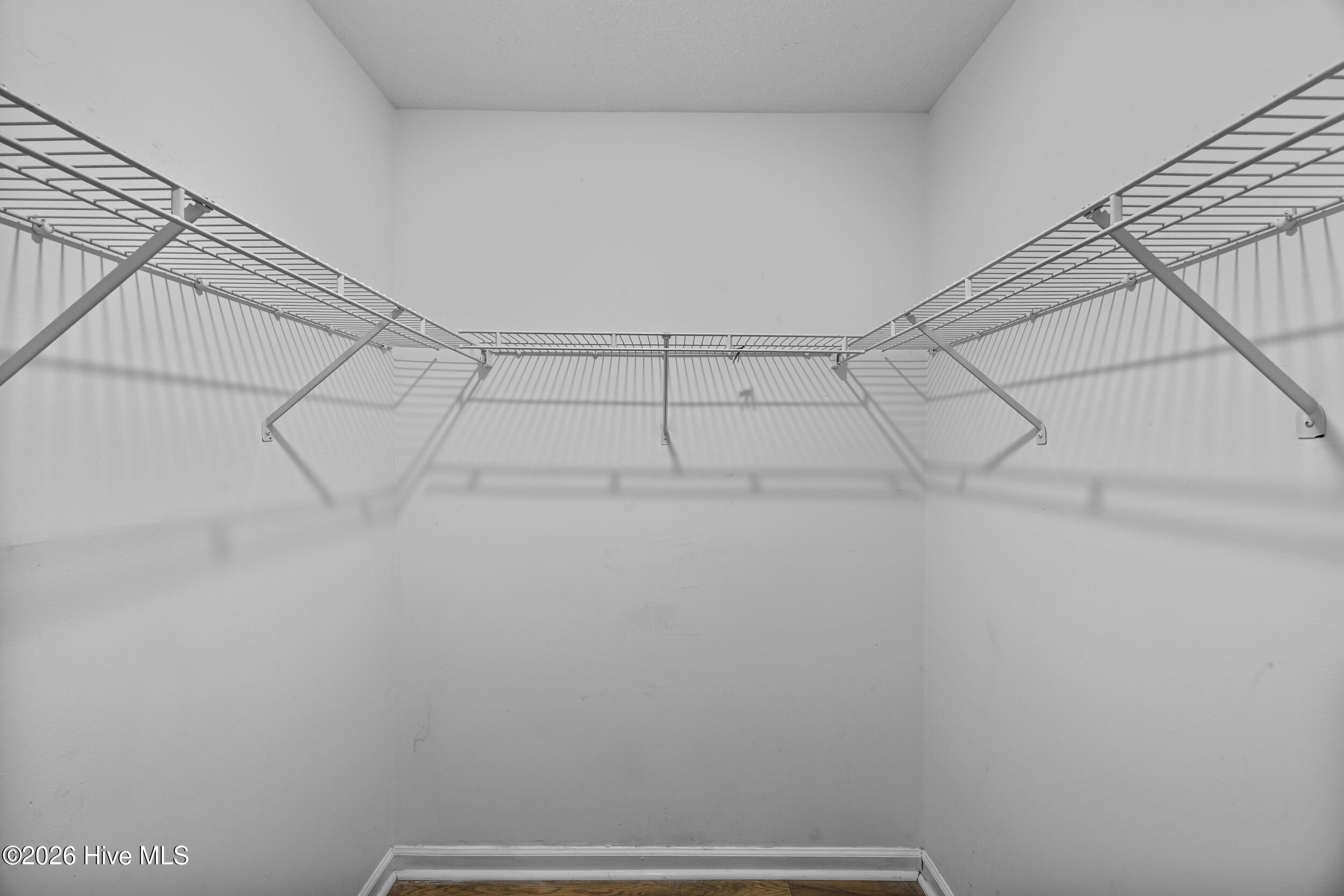 100557892 | Photo 25