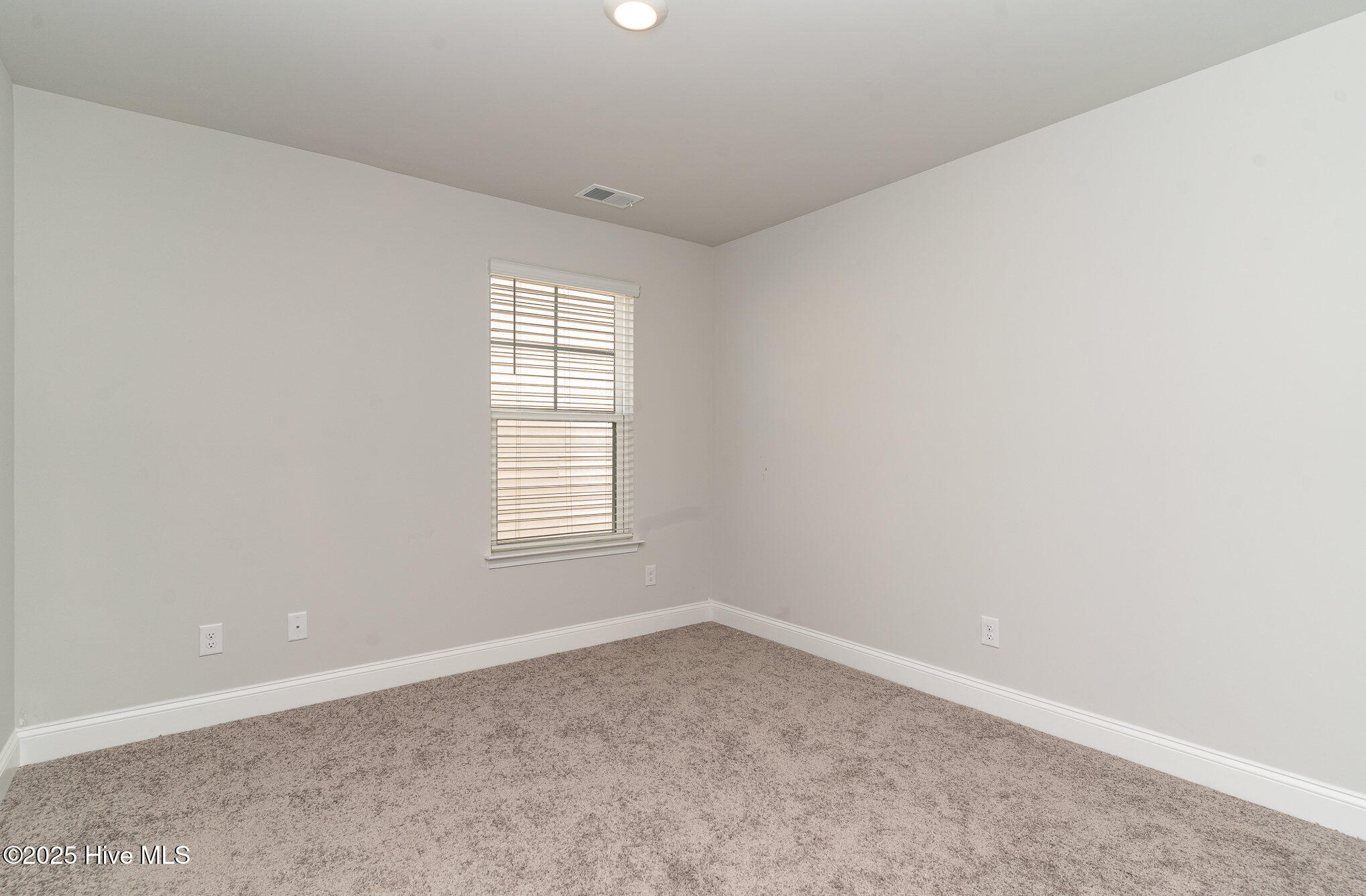 100518804 | Photo 15