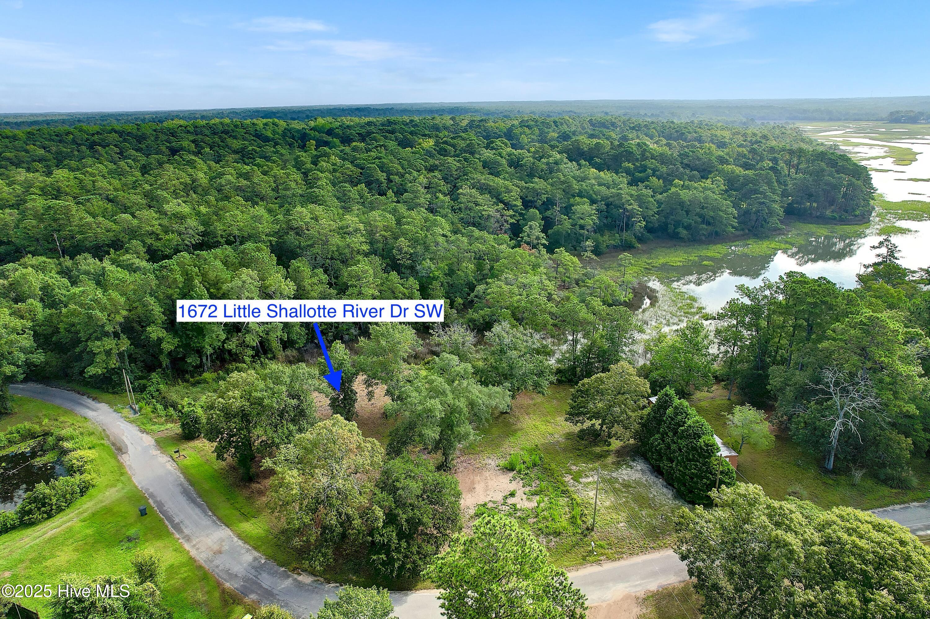 100521467 | Photo 20