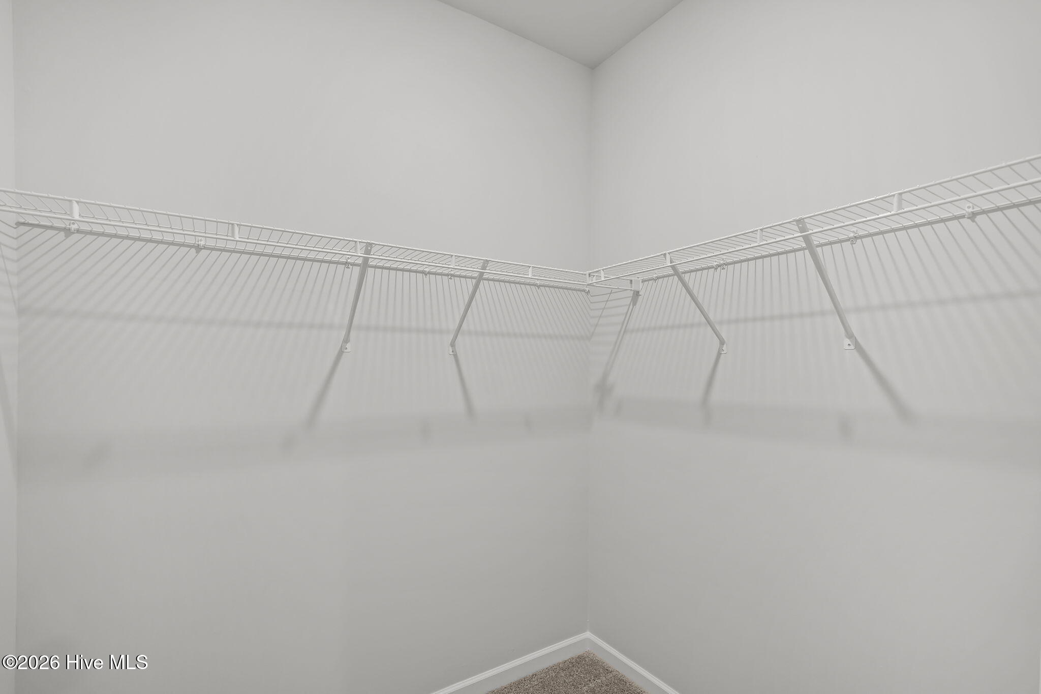 100548880 | Photo 27