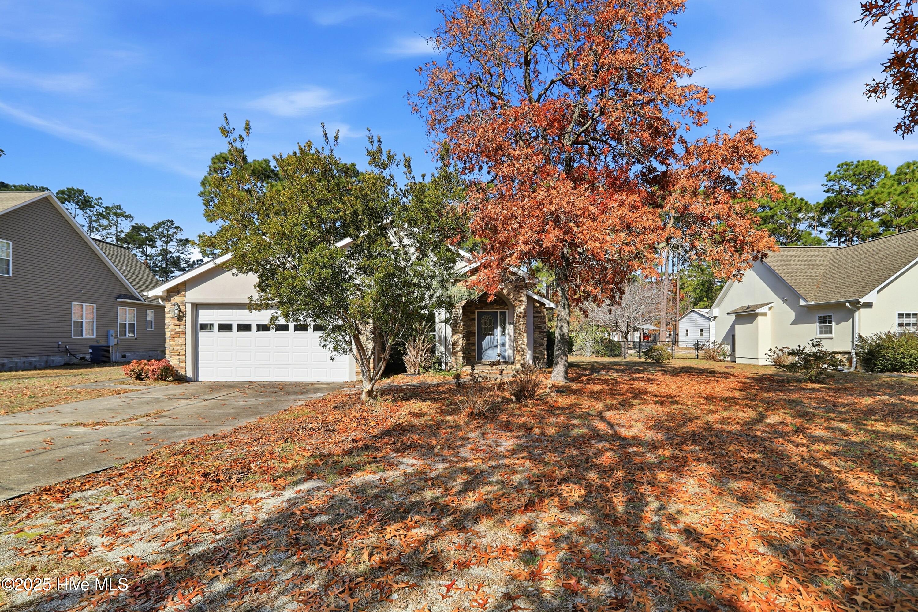 100543603 | Photo 47