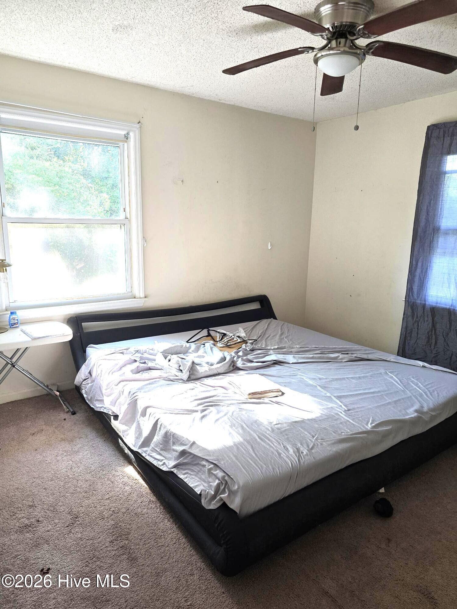 100567679 | Photo 11