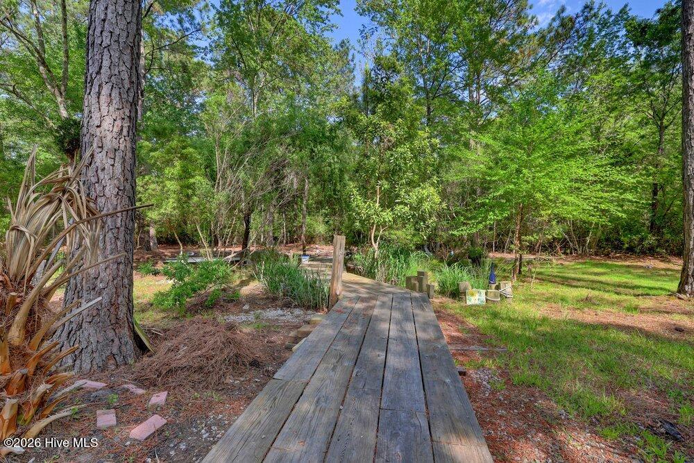 100568961 | Photo 55