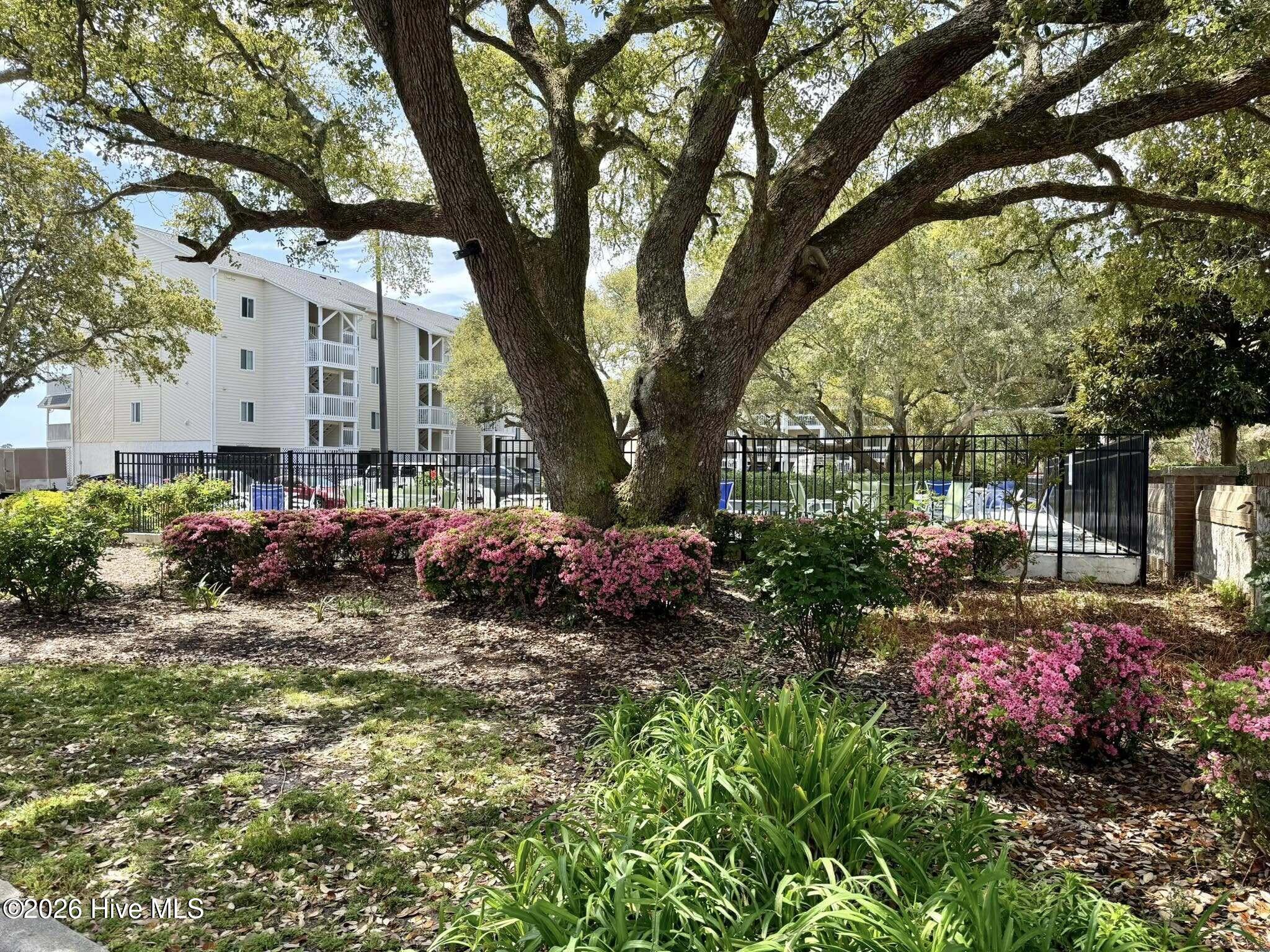 100549023 | Photo 35