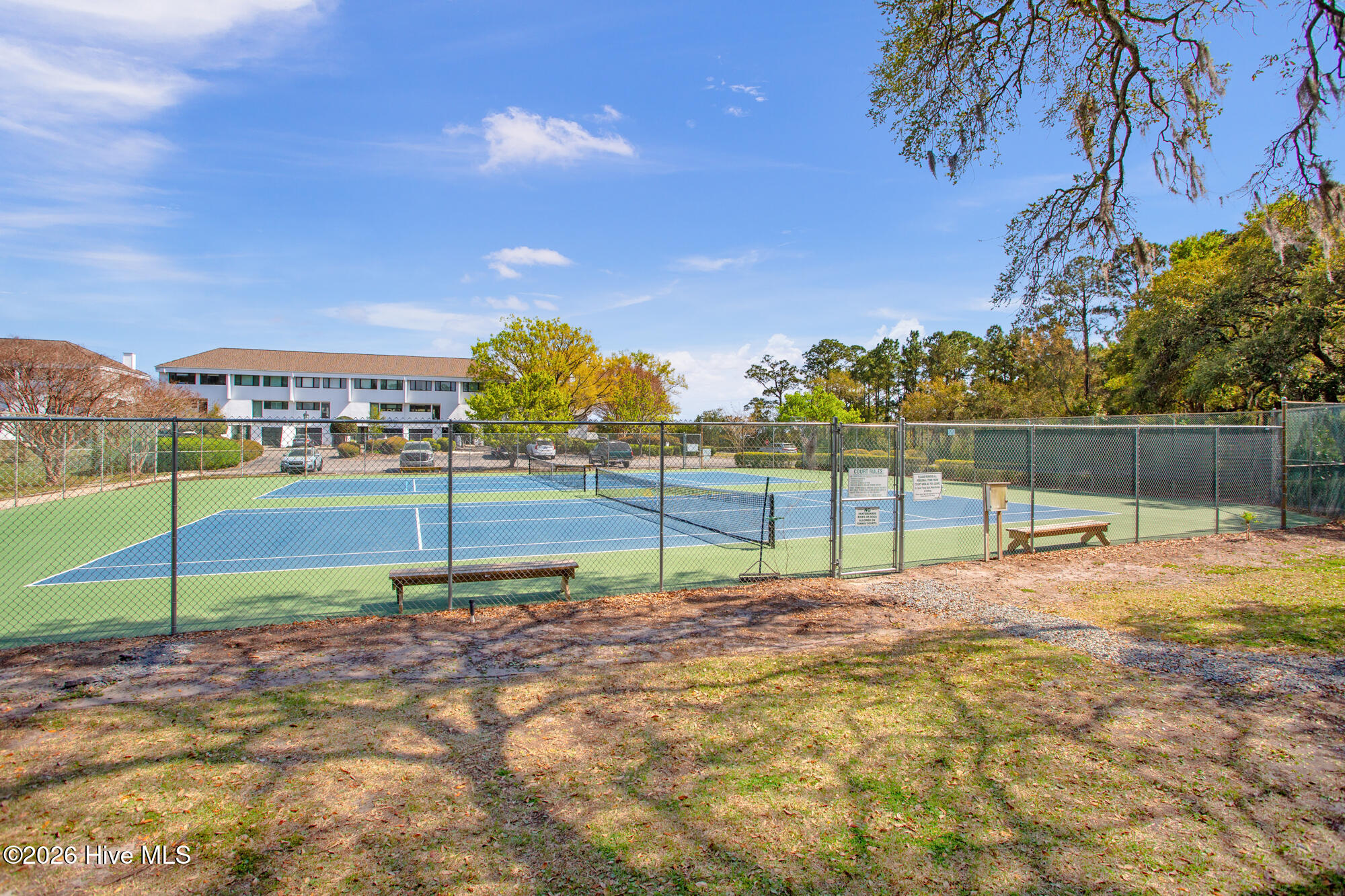 100564405 | Photo 34